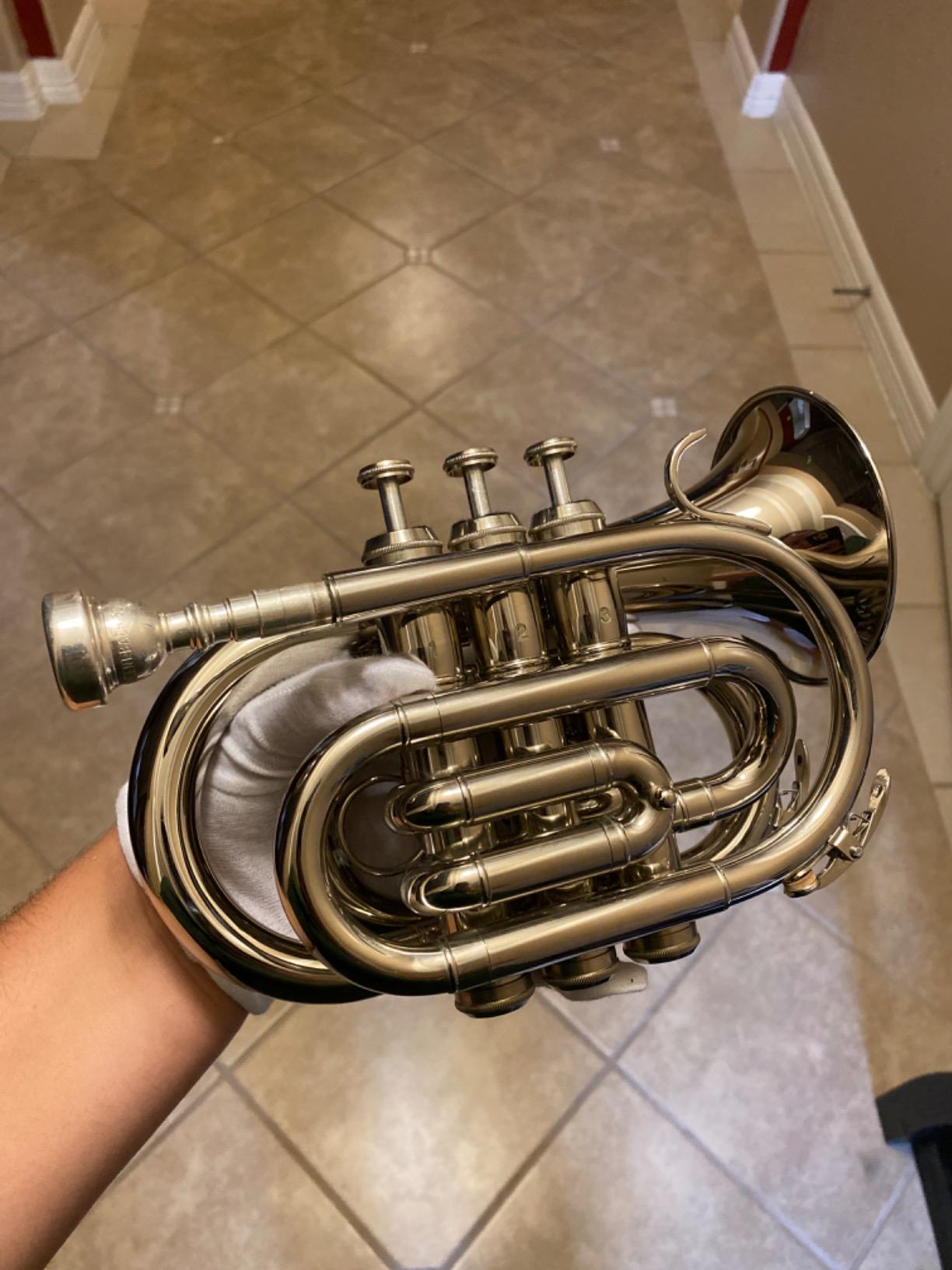Eastar Bb Pocket Trumpet Brass, Golden, Case Full Kit, ETR-330 customer photo 2