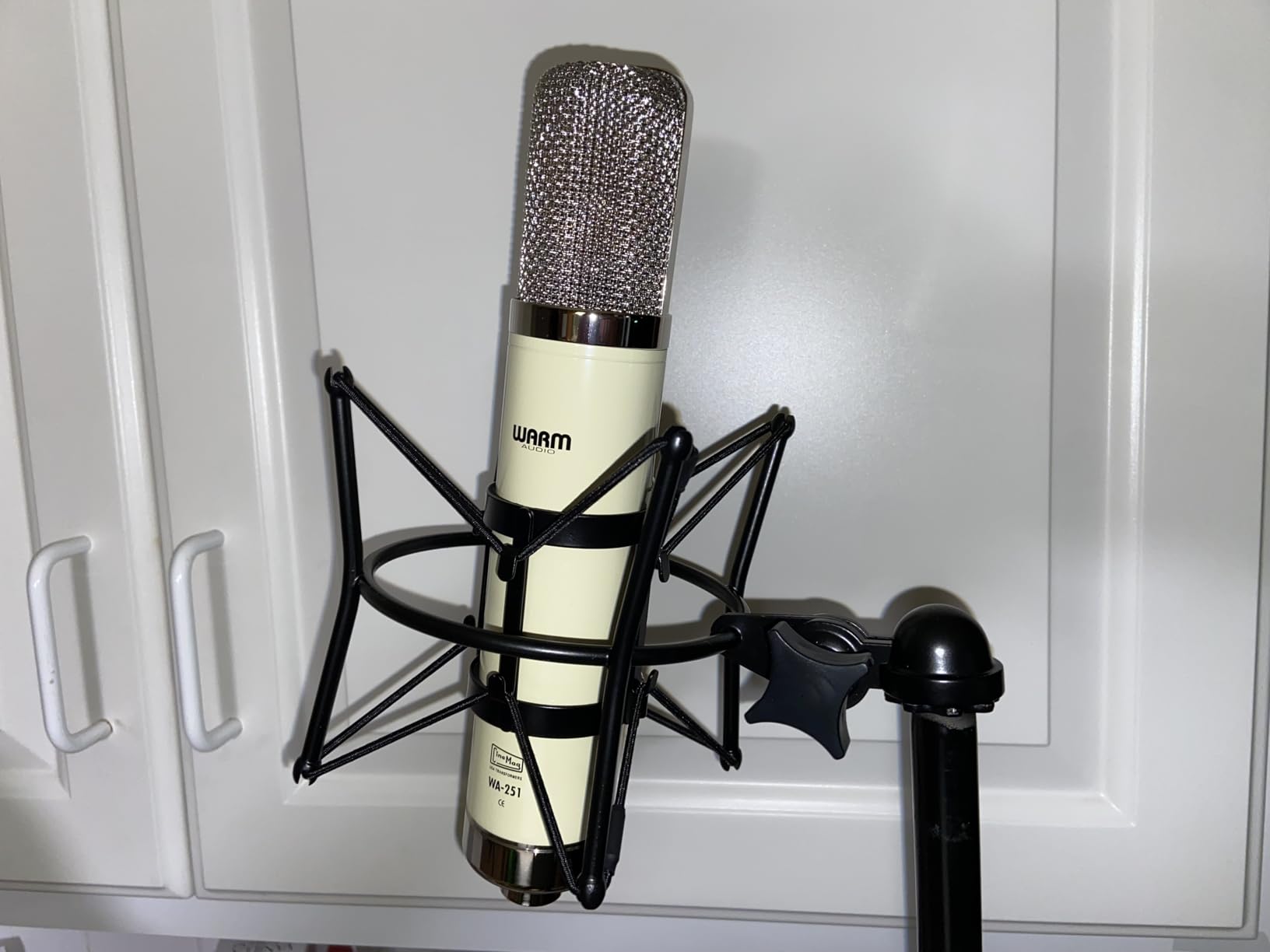Warm Audio WA-251 Tube Condenser Microphone customer photo 2
