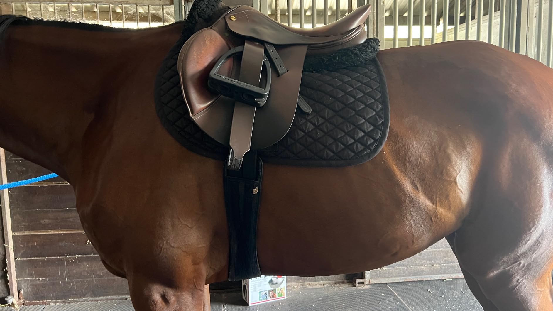 Total Saddle Fit Stability Stirrup Leathers Jump & Dressage Styles customer photo 1