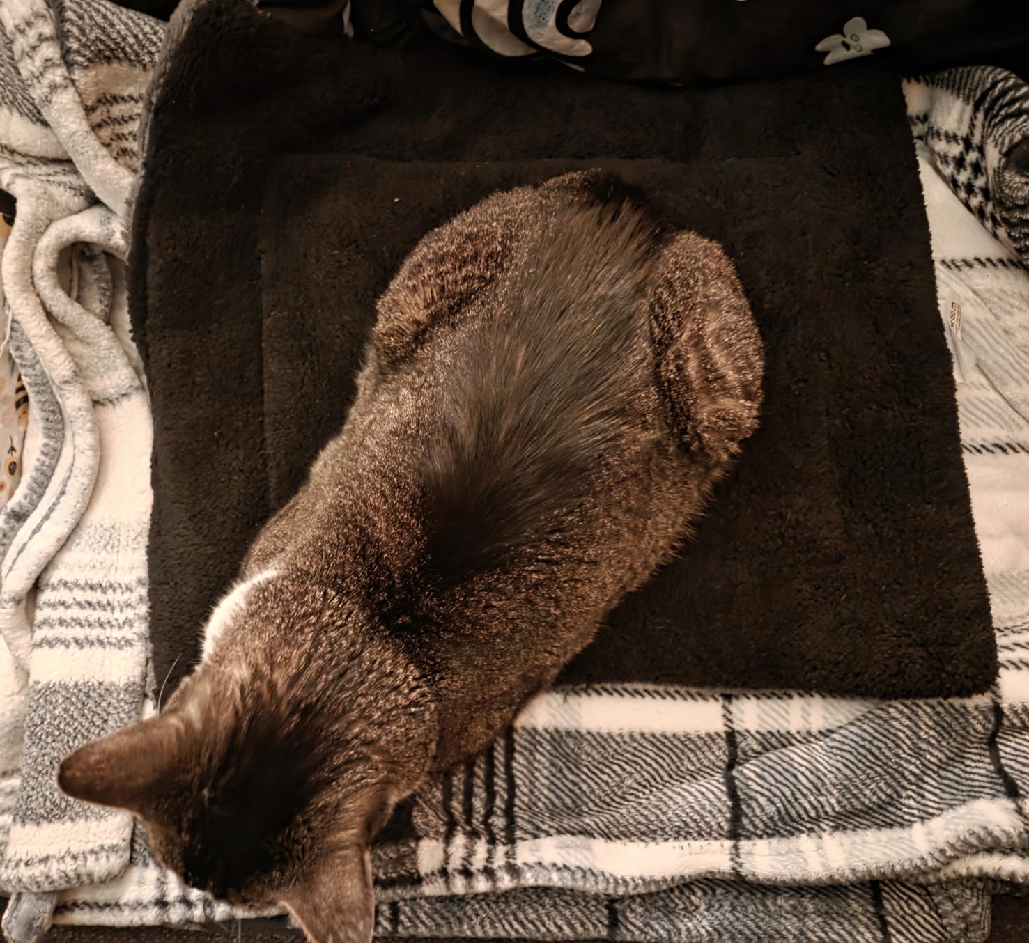 K&H Self-Warming Cat Bed Pad, Self Heating Pad, Small 21 X 17 Gray/Black, Heating pad for cats comfort, cat self warming pad, reversible plush, warming mat for cats, machine washable customer photo 1