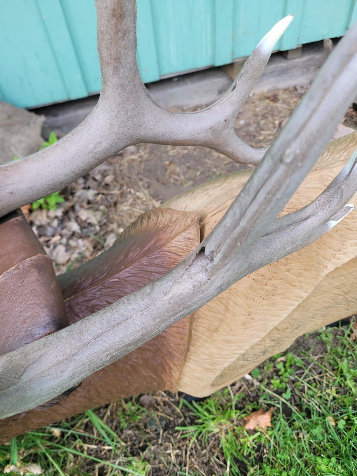 Rinehart 1/3 Scale Woodland Elk Target - 3D Archery Target with Replaceable Vital Insert customer photo 2