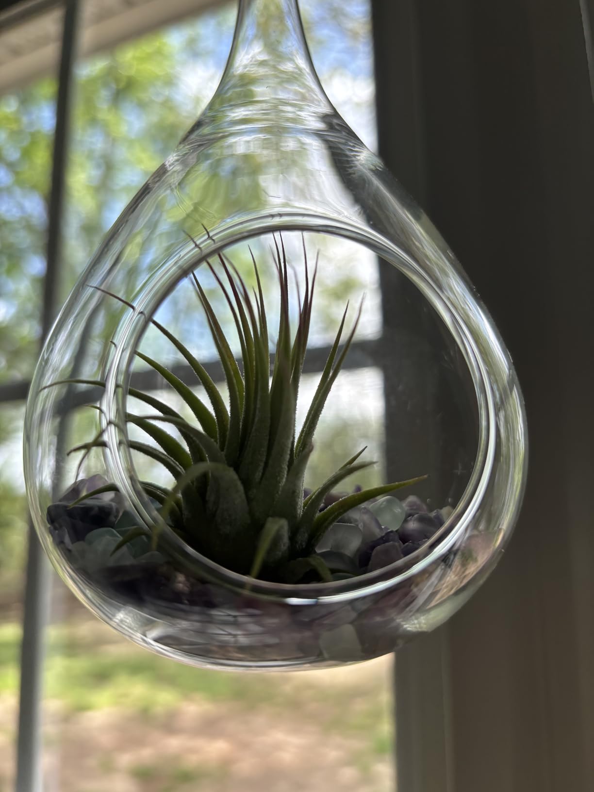 Mkono 3 Pack Air Plant Holder, Glass Hanging Planter Terrarium Globe Hanger for Indoor Live Fern Succulent, Unique Display Jar, Home Office Christmas Holiday Decor, Plant Lover Gift customer photo 2