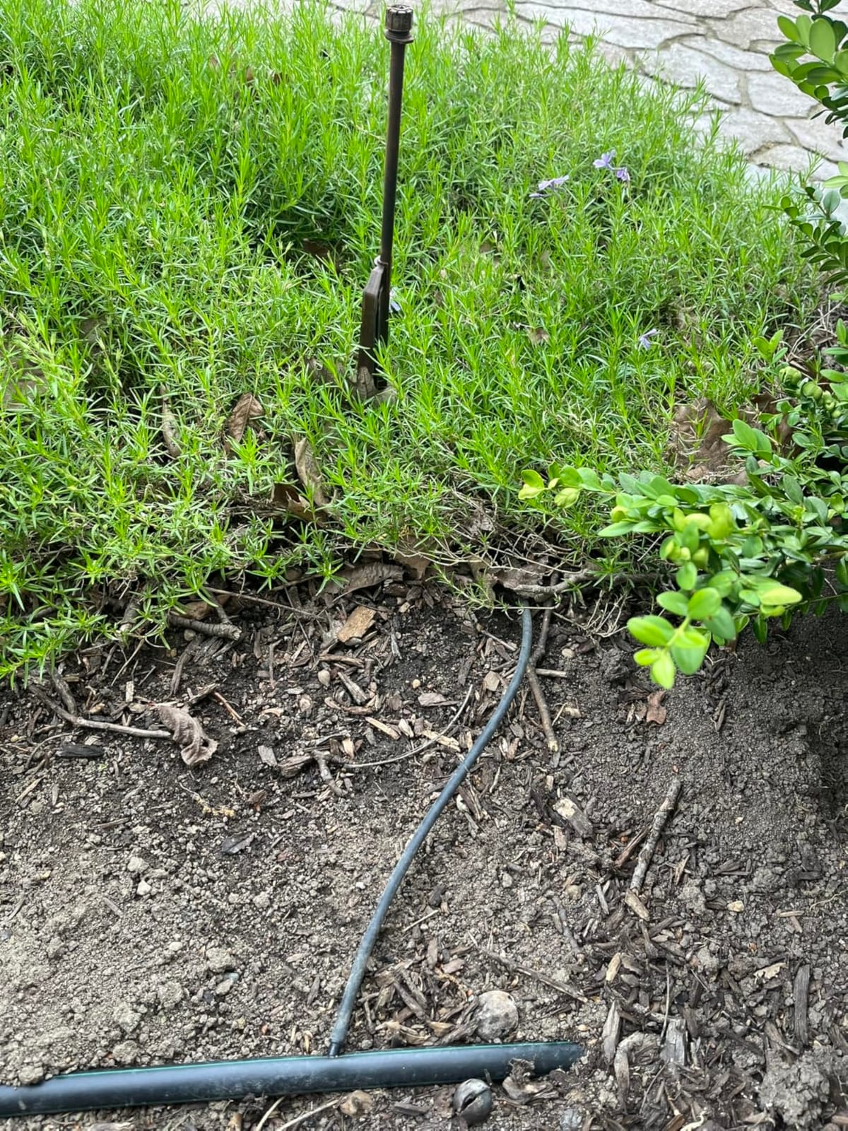 Rain Bird LNDDRIPKIT Drip Irrigation Kit customer photo 2