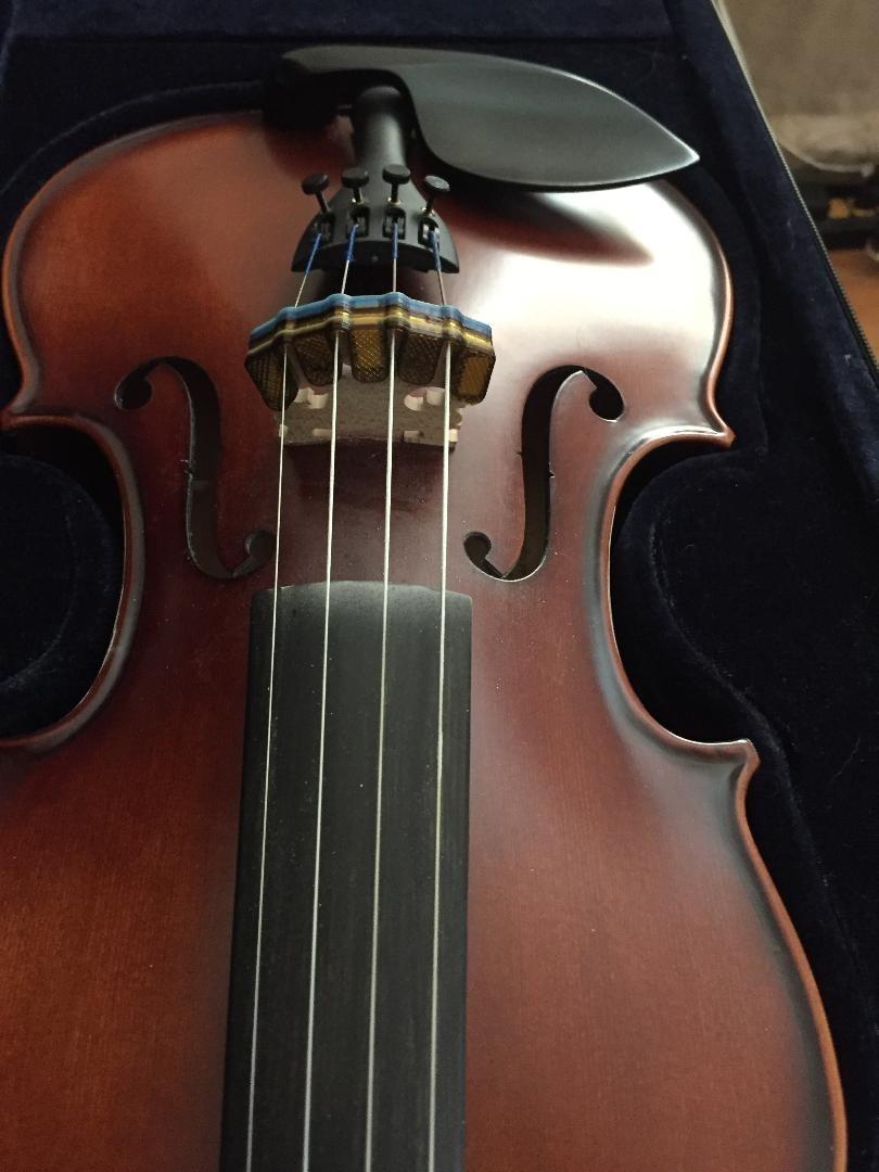 Catrpilr Mute for Violin 3/4-4/4 Size (Multicolor) by ViowiessCO customer photo 1