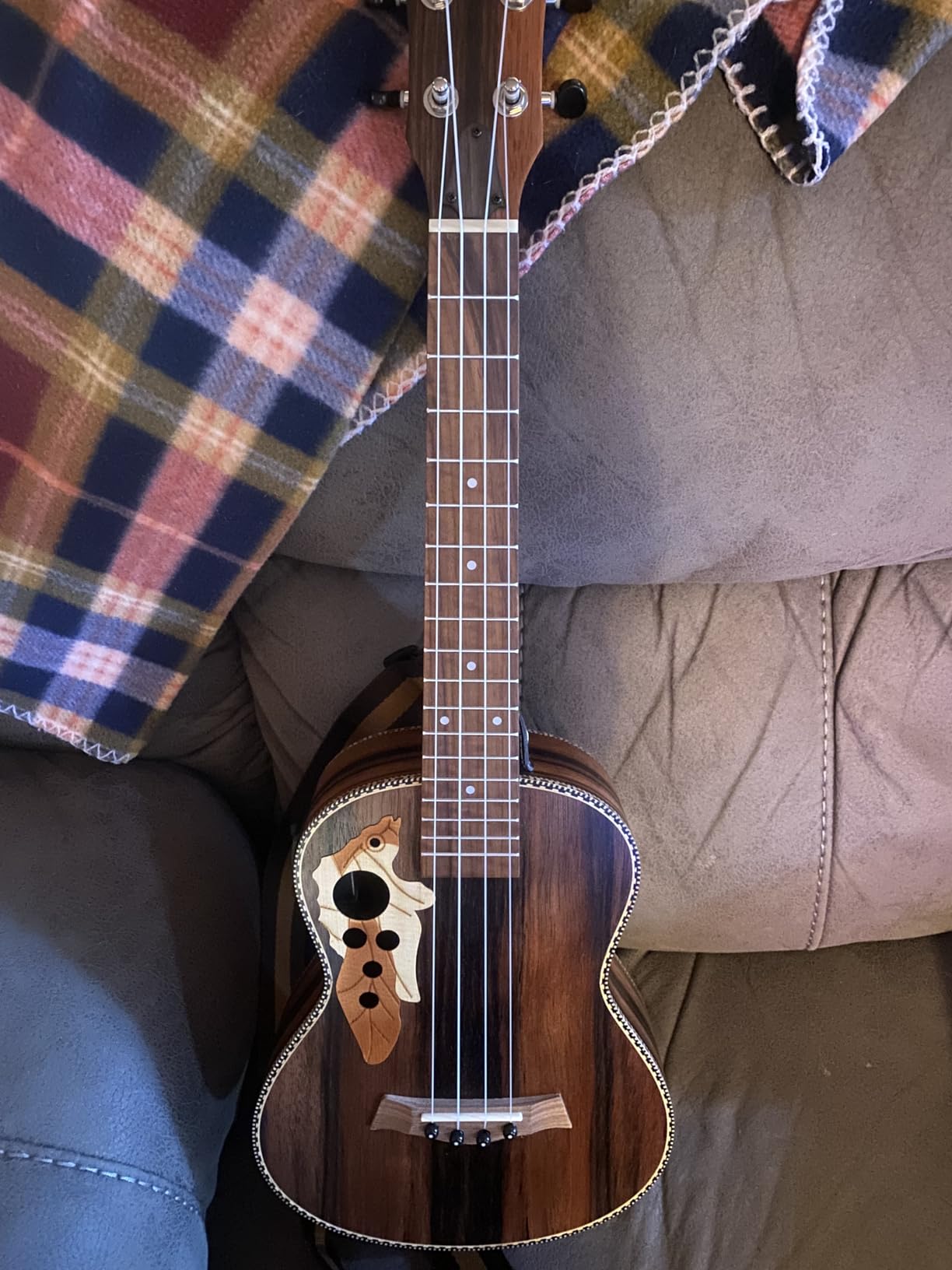 Baritone Ukulele Electric 30 Inch All Blackwood Acoustic Ukelele Kit with Truss Rod with EQ customer photo 1