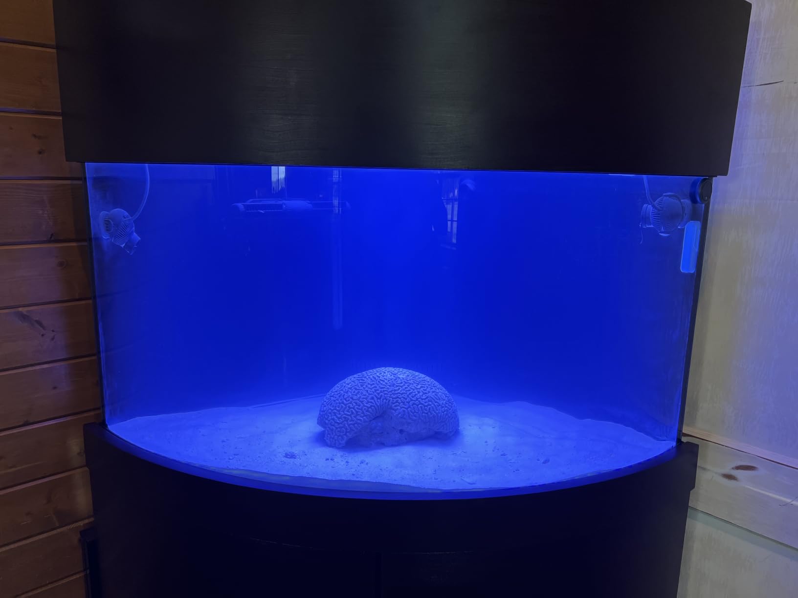 VIPARSPECTRA 165W LED Aquarium Light Dimmable Full Spectrum LED Reef Lights | LED Lamps for Coral Saltwater Fish Tank, Remote/Timer Control, Programmable Auto On/Off, Dual Channel Brightness 0-100% customer photo 2