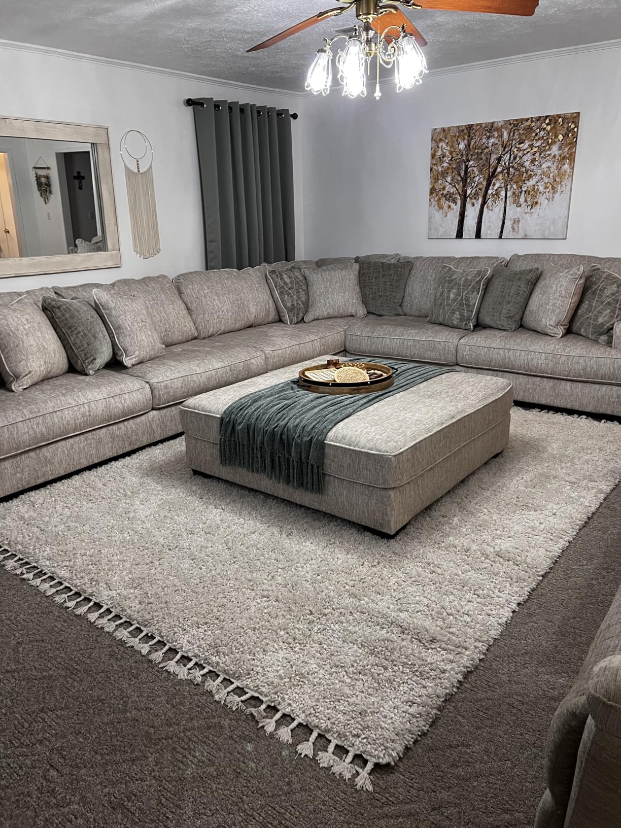 JONATHAN Y Mercer Shag Plush Tassel Cream Indoor Area Rug, 8x10, Modern, Easy-Cleaning, Pet Friendly, Non-Shedding (MCR100D-8) customer photo 1