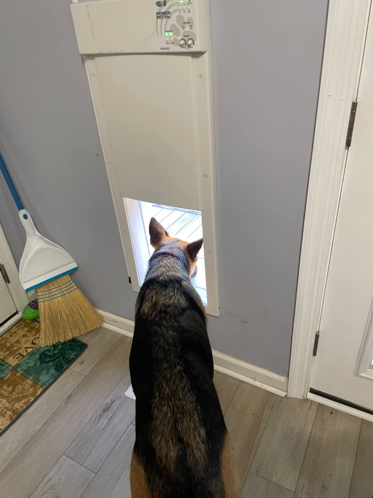 Power Pet Smart Automatic Electronic Pet Door by High Tech Pet (Wall Mount, Large, Non-WiFi) customer photo 1