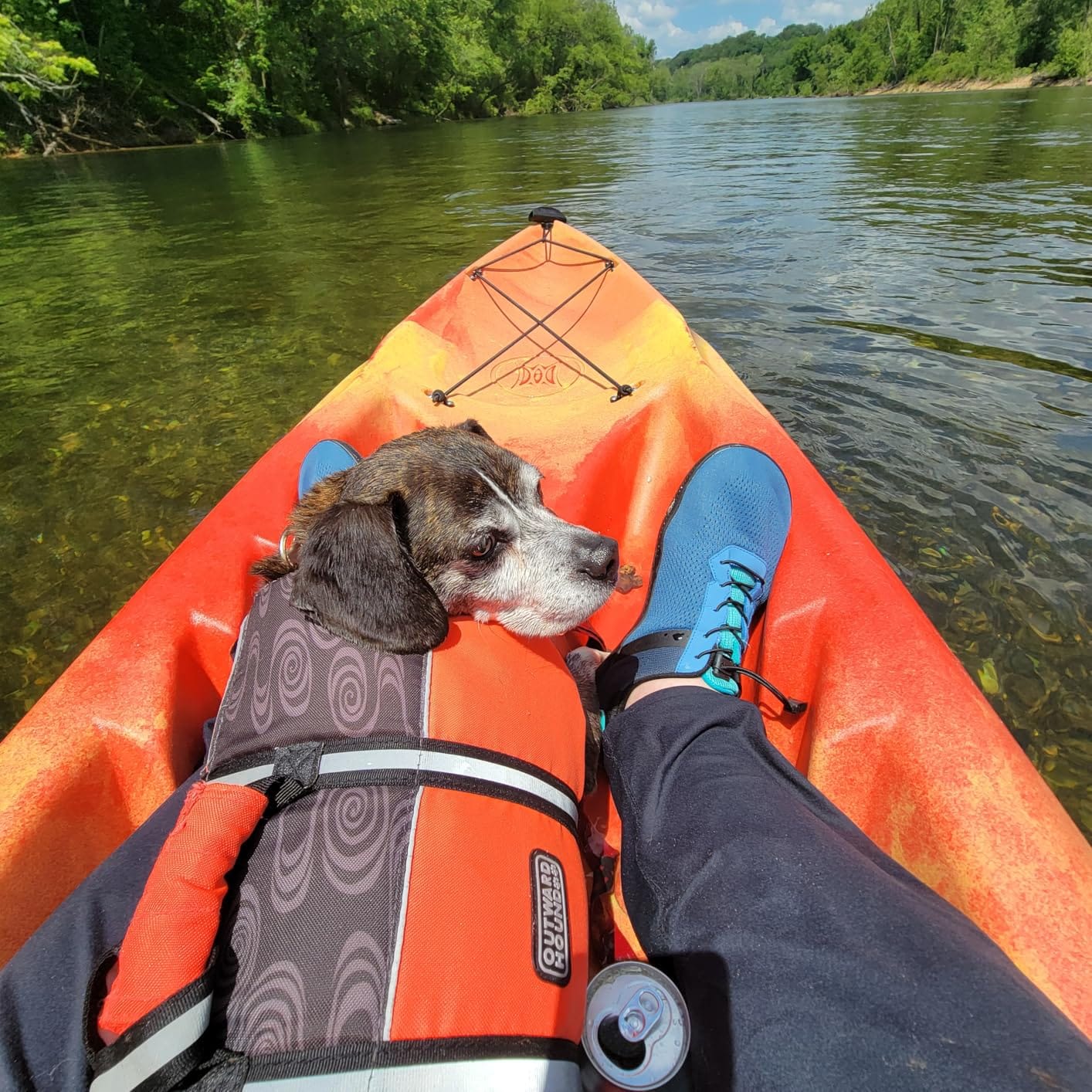 Perception Tribe 11.5 | Sit on Top Kayak for All-Around Fun | Large Rear Storage with Tie Downs customer photo 1