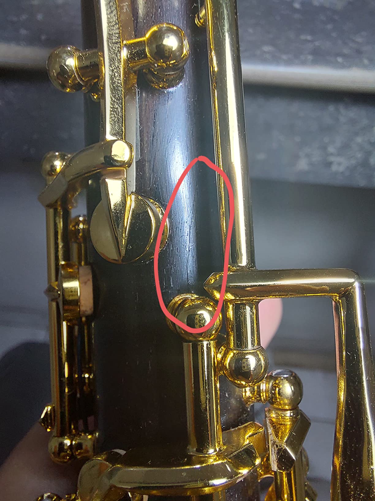 Yinfente Professional Oboe Gold Plated Rosewood C Key Left F Resonance Semi-Automatic Woodwind Instrument With Oboe Accessories customer photo 1
