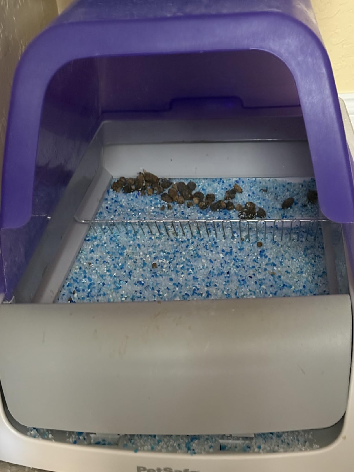 PetSafe ScoopFree Crystal Pro Legacy Self-Cleaning Litter Box, Uncovered | Hands-Free Automatic Cleaning, Advanced Odor Control, Health Counter Display, Includes 1 Disposable Crystal Litter Tray customer photo 2
