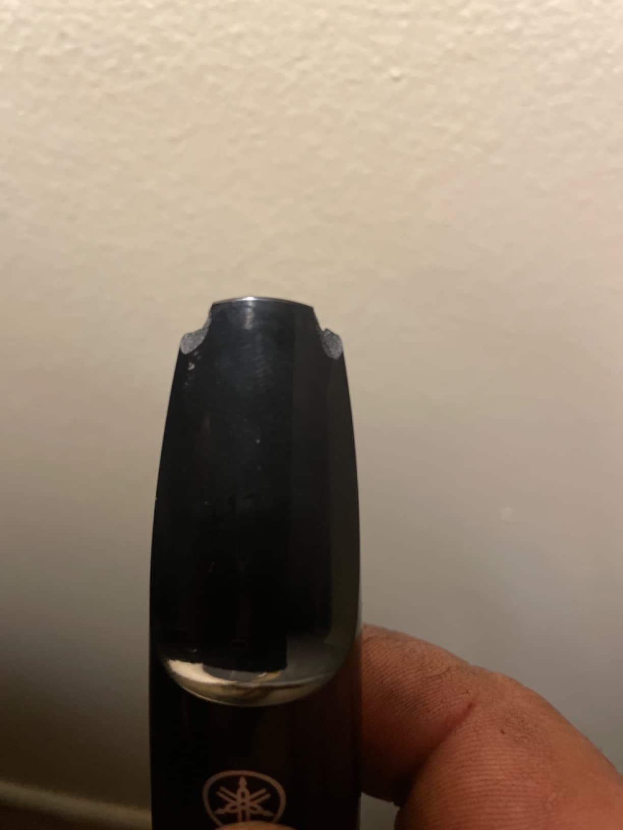YVS-120 Alto Venova Casual Wind Instrument customer photo 1