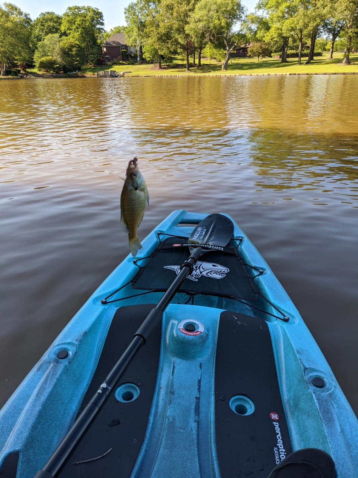 Perception Kayaks Outlaw 11.5 | Sit on Top Fishing Kayak | Fold Away Lawn Chair Seat | 4 Rod Holders | Integrated Tackle Trays | 11 ft. 6 in. customer photo 1