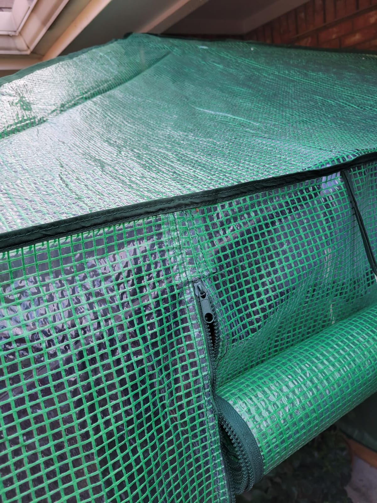EAGLE PEAK 8x6 Easy Setup Pop Up Greenhouse, Clear/Green | Walk-In Greenhouses for Outdoors, Green House for Winter Protection, Roll-Up Doors & Mesh Windows, One Person Setup customer photo 1