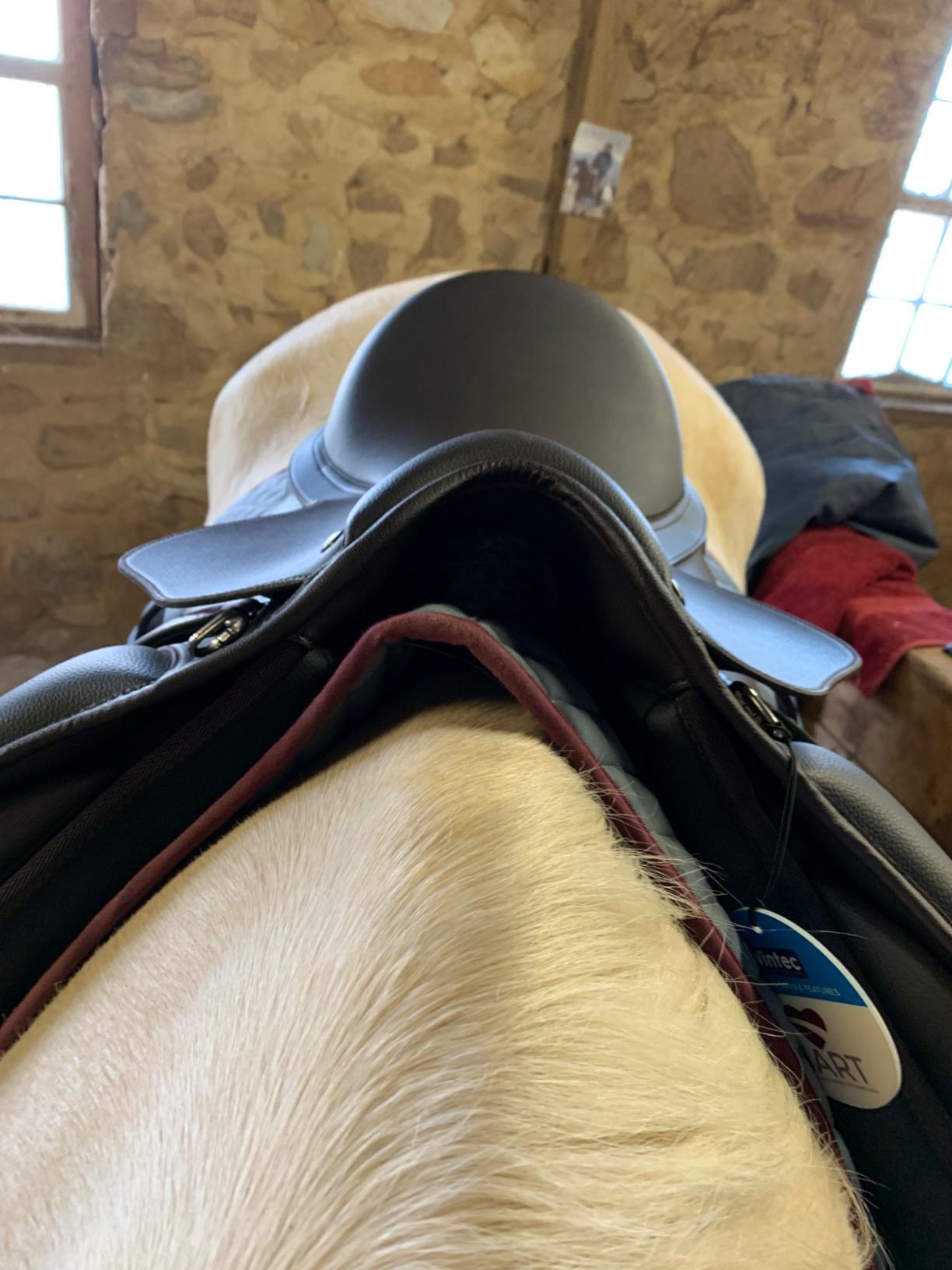 Wintec 500 HART All Purpose Saddle customer photo 2