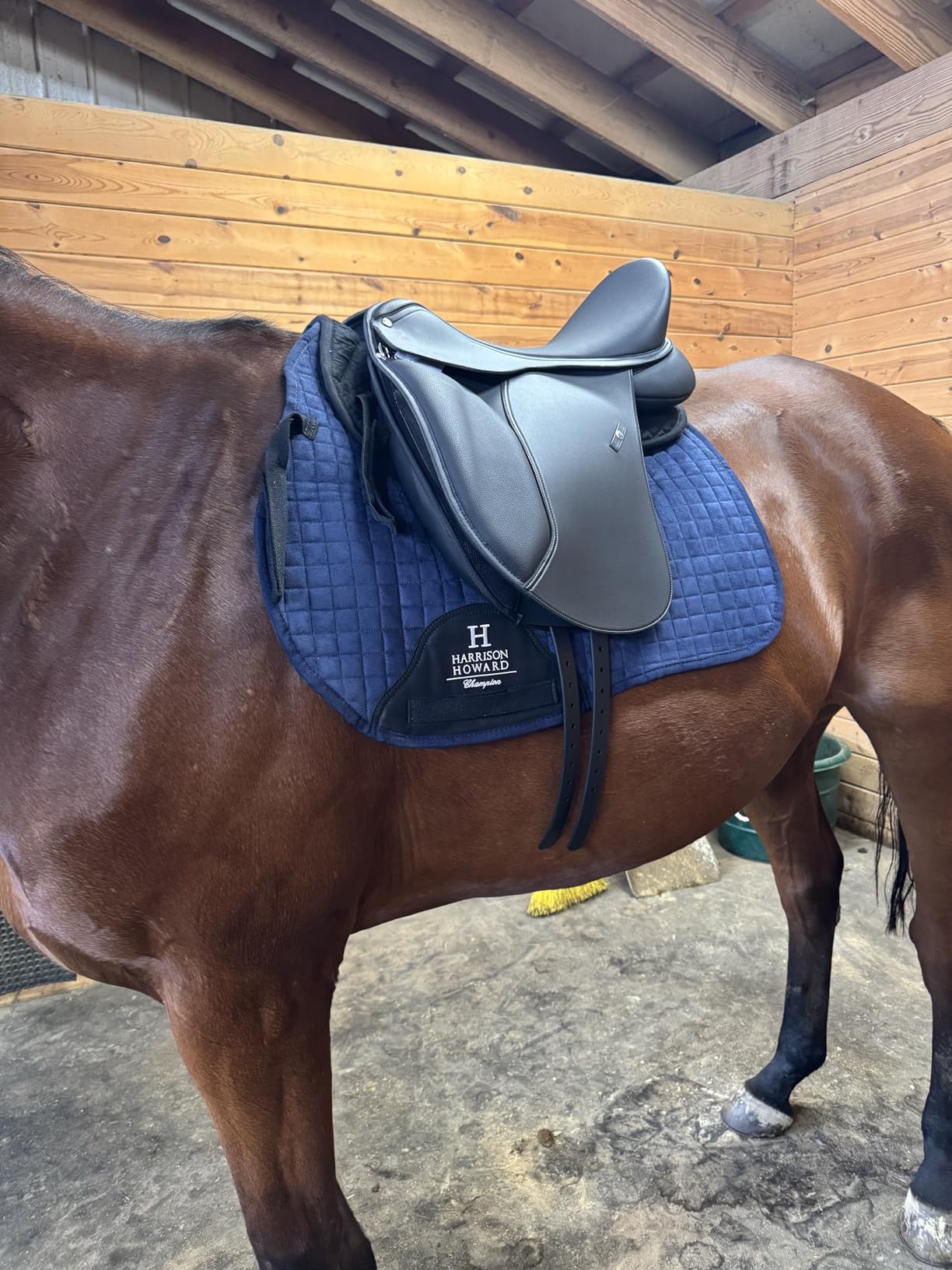 Wintec 500 HART Dressage Saddle customer photo 1