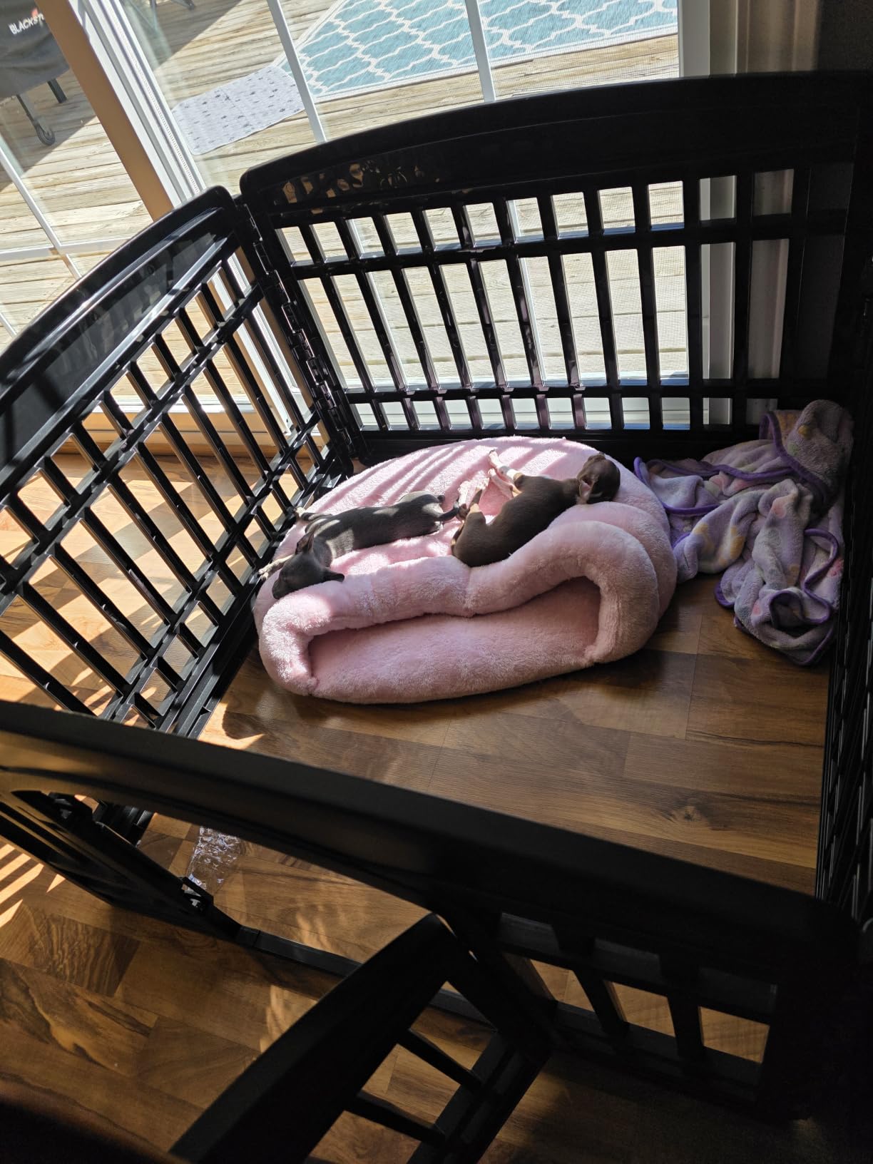 IRIS USA 8-Panel Dog Playpen, Pet Enclosure, White, Pet Containment, Custom Pen Configuration, Multi-Shape Setup, Flexible Boundary, Stable Non-Tip Base, Tool-Free Assembly customer photo 2