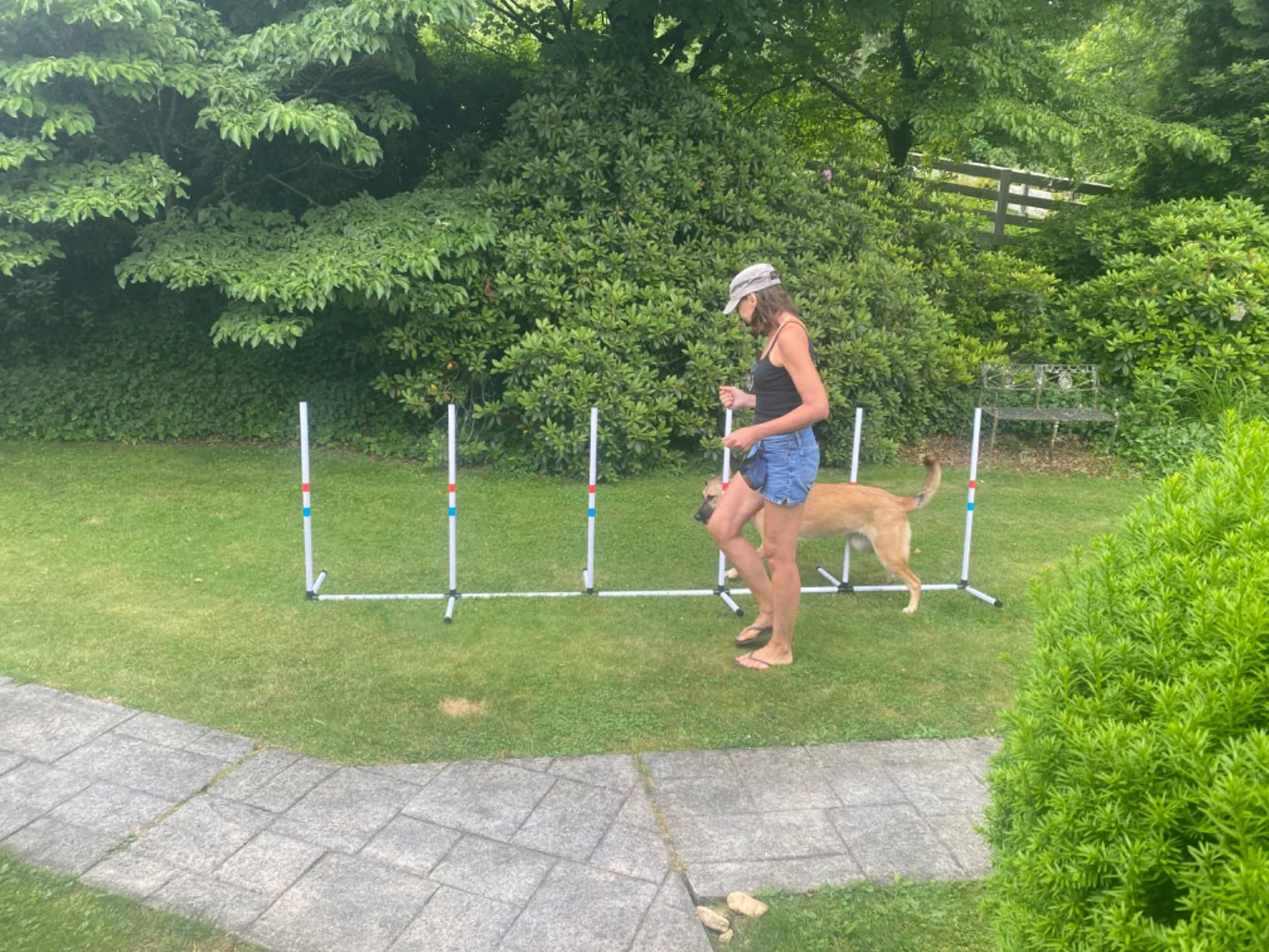 Midlee Dog Agility Beginner Set - Hoop Jump, Weave Poles, and Bar Jump customer photo 2