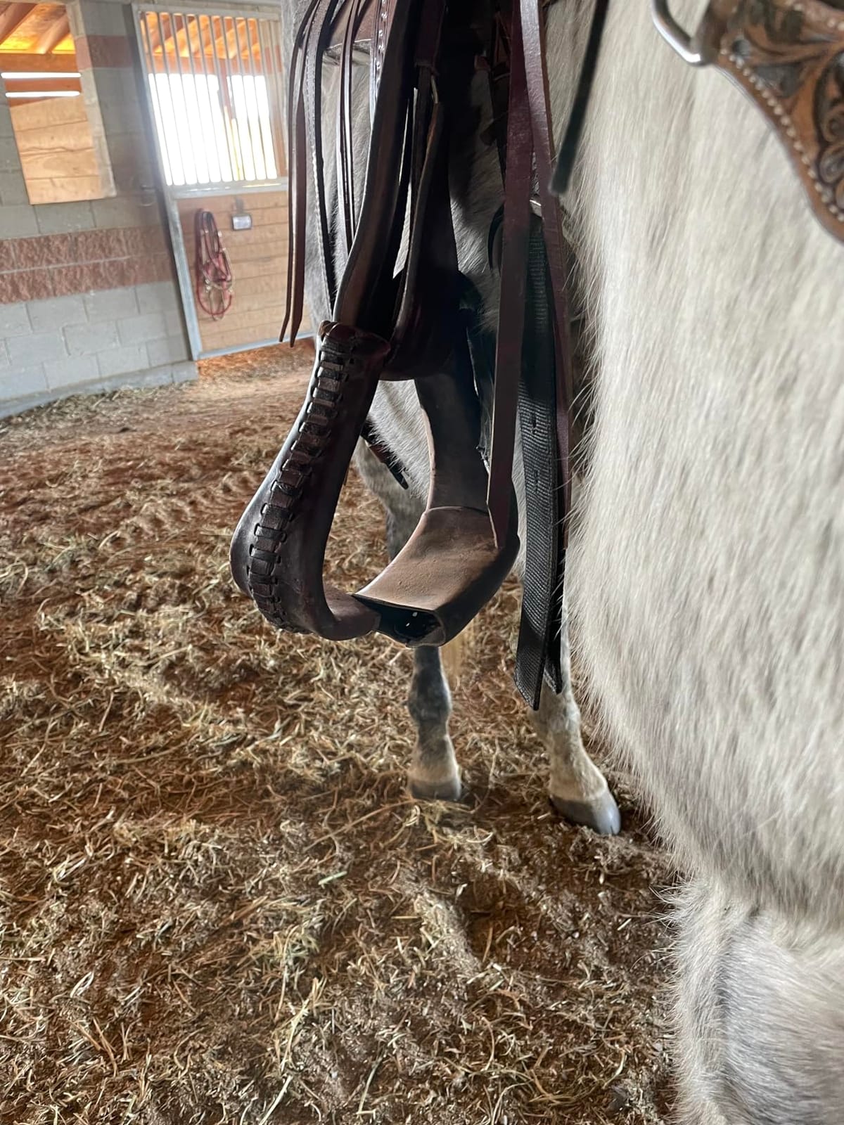 HILASON Western Horse Saddle American Leather Flex Tree Trail & Pleasure Chocolate Brown customer photo 1