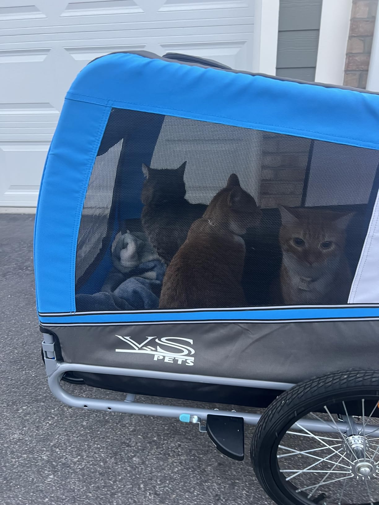 Tiggo Veelar Sports Pets Large Dog Bike Trailer & Stroller for Medium,Large Dog or Multiple Small Dogs, Pet Stroller for Dogs Up to 78 lbs, Parking Brakes, Low Center of Gravity customer photo 1