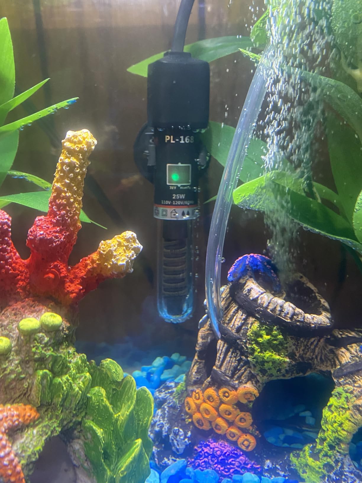 PULACO 25Watt Mini Aquarium Heater, Submersible Betta Heater | Small Fish Tank Heater with Free Thermometer Strip for 1-6 Gallon Fish Tanks (Preset Temperature 78℉) customer photo 1