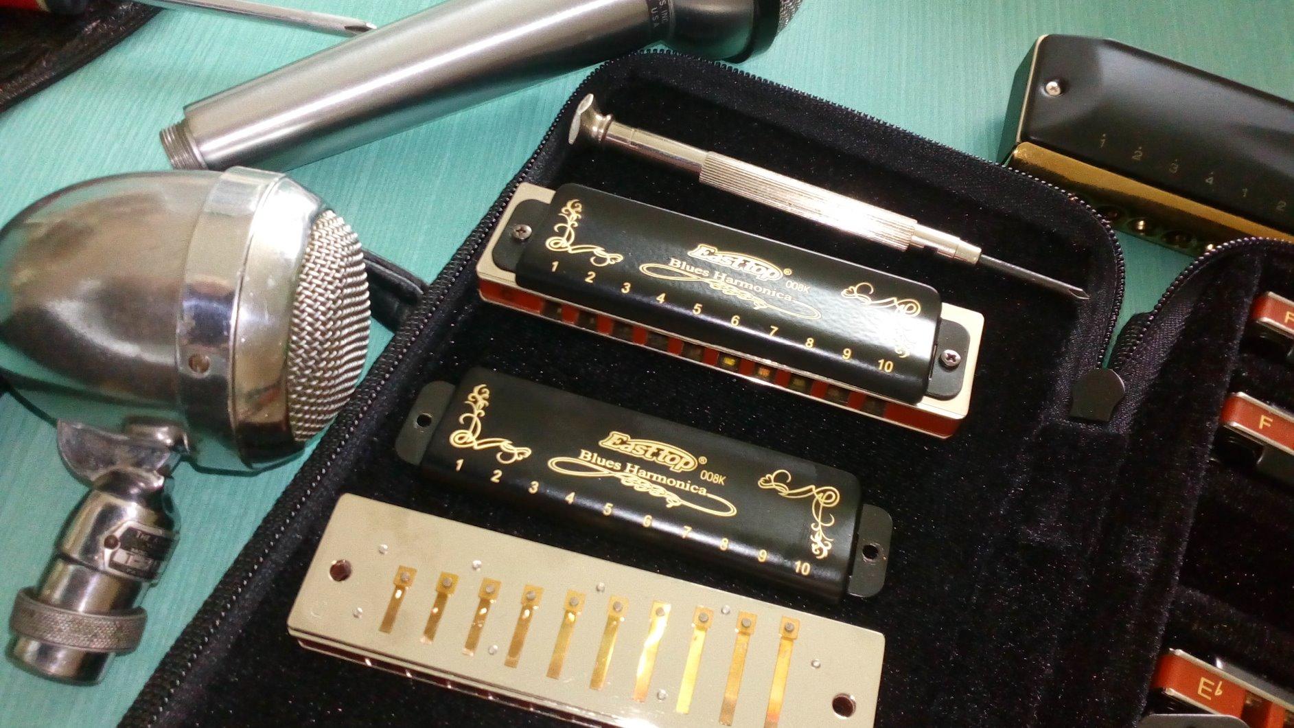 East top Blues Diatonic Harmonica Set of 12, 10 Holes 20 Tones 008K Blues harmonica Mouth Organ Set, 12 Keys with Blue Case for Adults, Professionals and Students customer photo 2