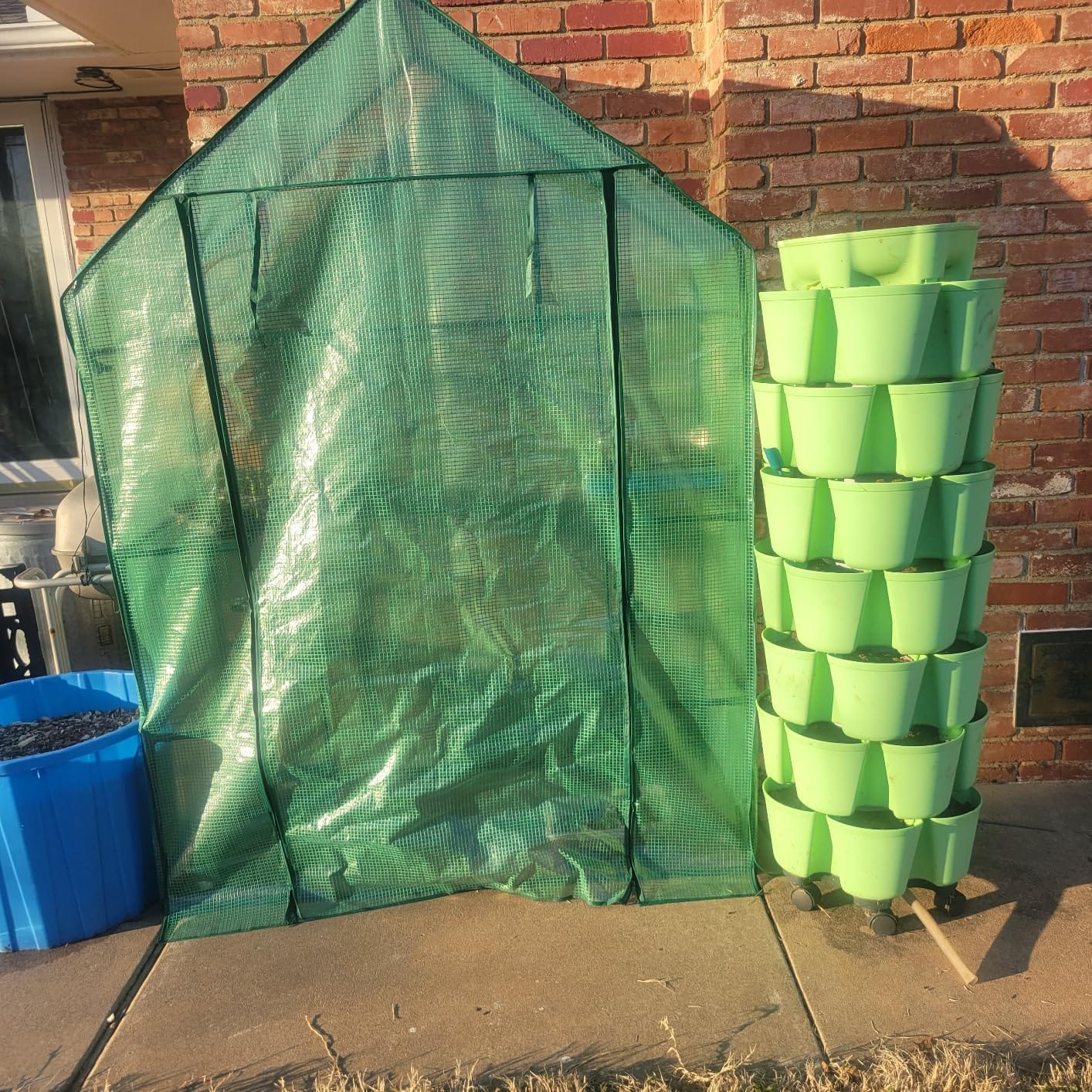 Portable Walk-in Greenhouse for Outdoors, 56x30x76 Plant House with Shelves | Green PE Cover, Roll-Up Door, 3-Tier Shelves, Steel Frame, Stakes and Ropes for Seed Starting, Flowers and Outdoor Gardening customer photo 2