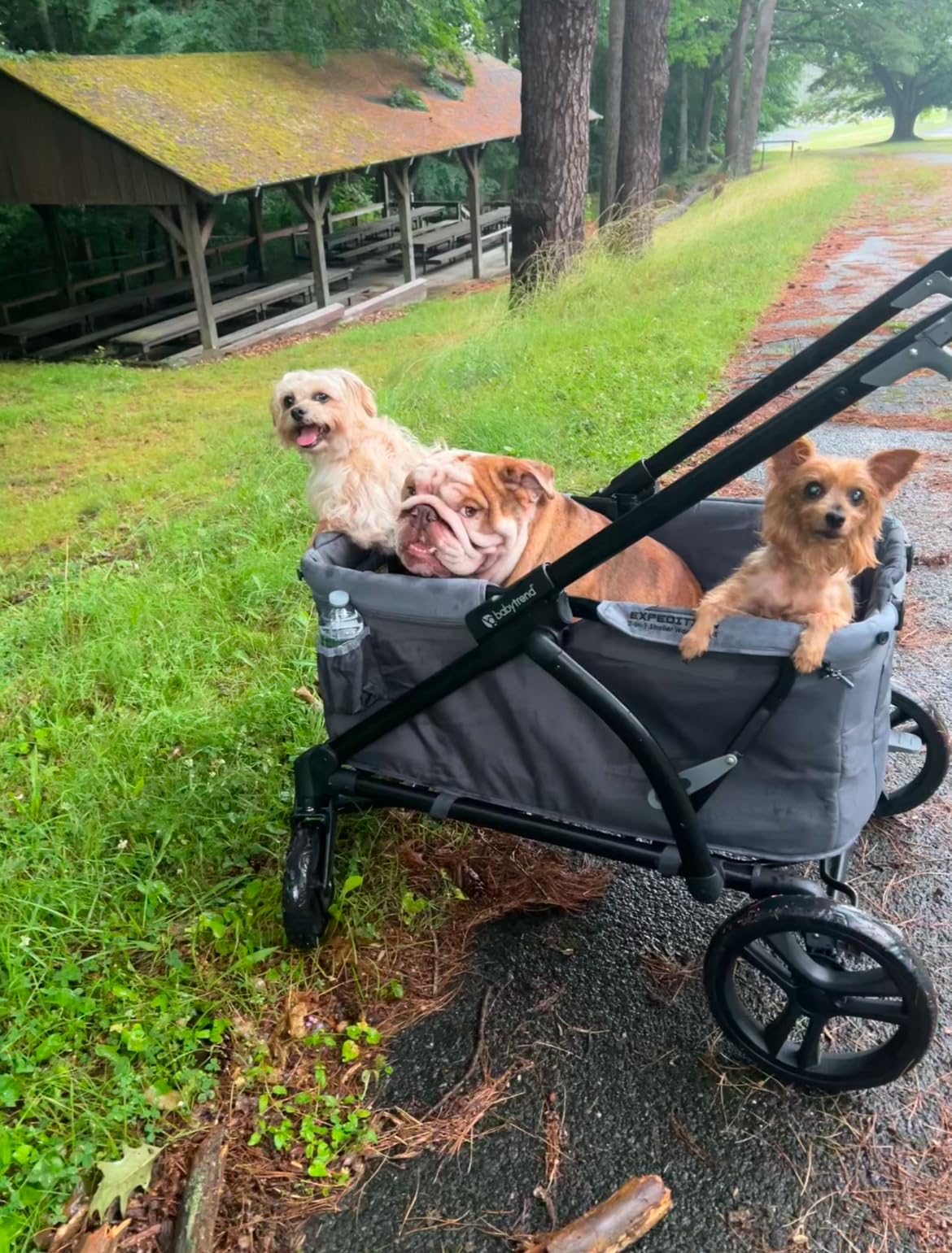 Baby Trend Expedition 2-in-1 Stroller Wagon Plus, Ultra Grey customer photo 1