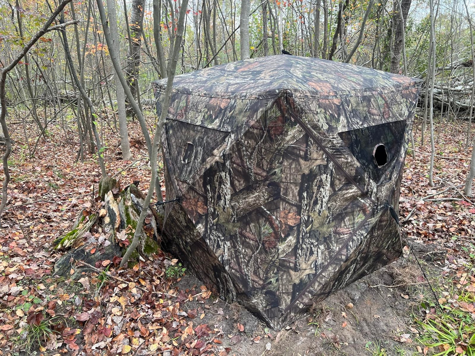 Ameristep Brickhouse Hunting Blind | 3-Person Ground Blind in Mossy Oak Break-Up Country, One Size | 3-person capacity, 59 x 59 x 67 inches, 10 windows, easy setup and takedown customer photo 1