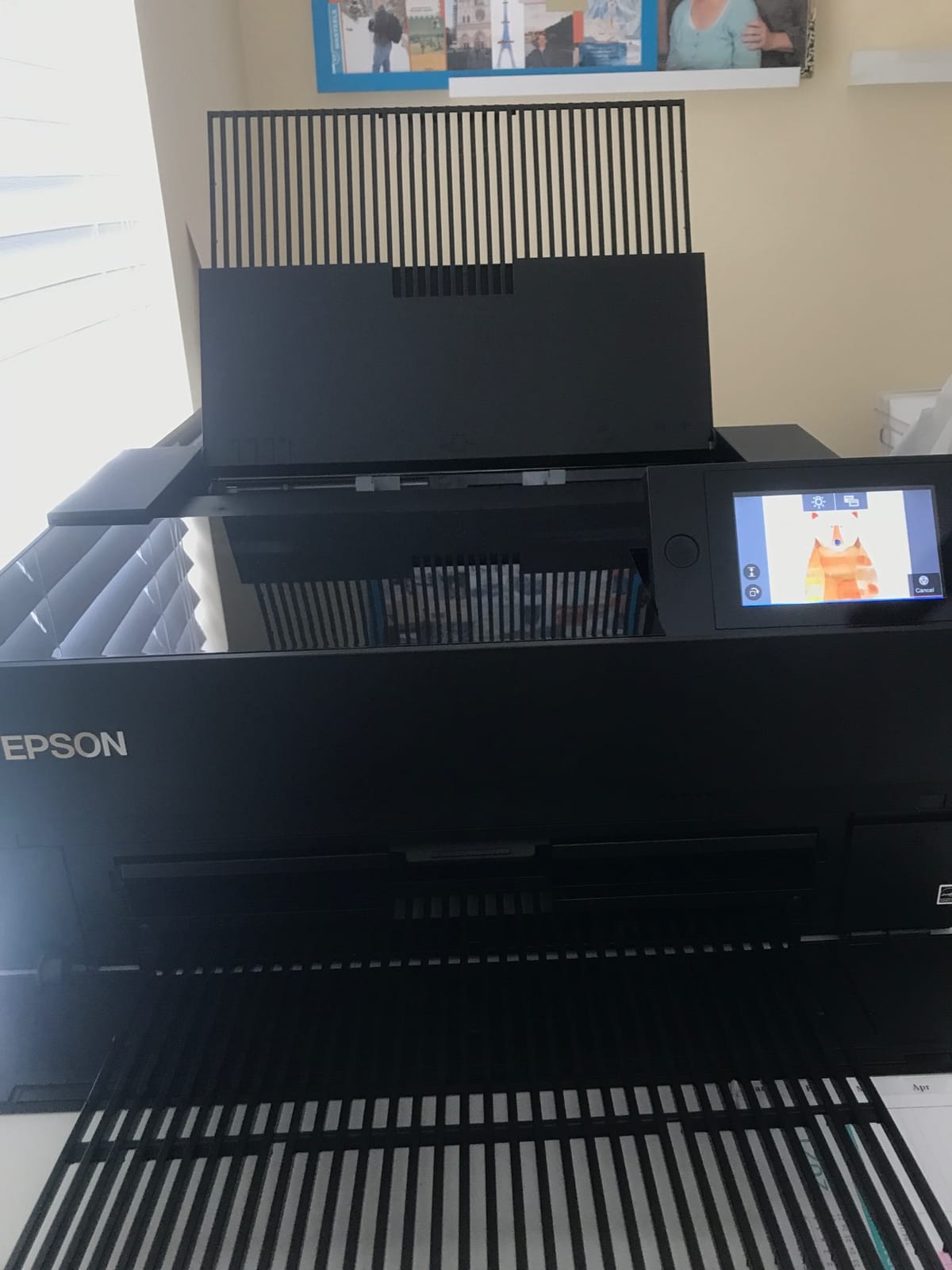 Epson SureColor P700 13-Inch Printer,Black customer photo 2