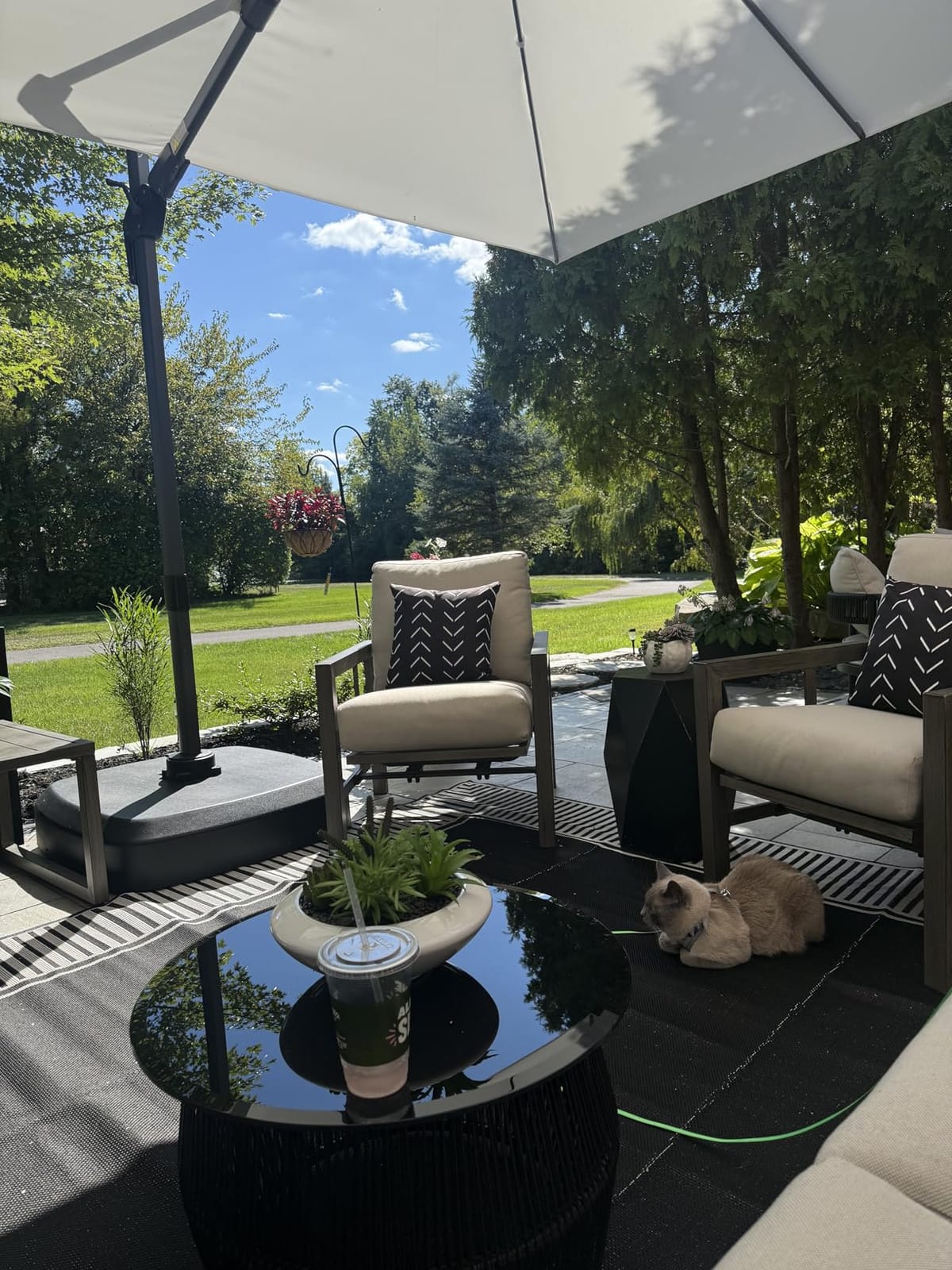 nuLOOM Asha Light Brown Bordered Indoor/Outdoor Area Rug, 8' x 10' customer photo 1