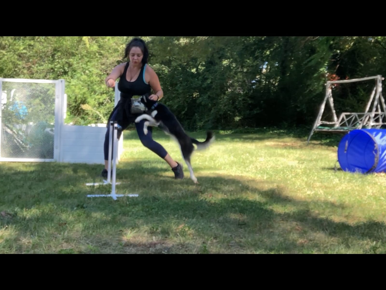 Better Sporting Dogs Agility Course Backyard Set - 7pc | Indoor and Outdoor, 3 Jumps, 2 Tunnels with Sandbags, Weave Poles, Dog Agility Training Equipment customer photo 1