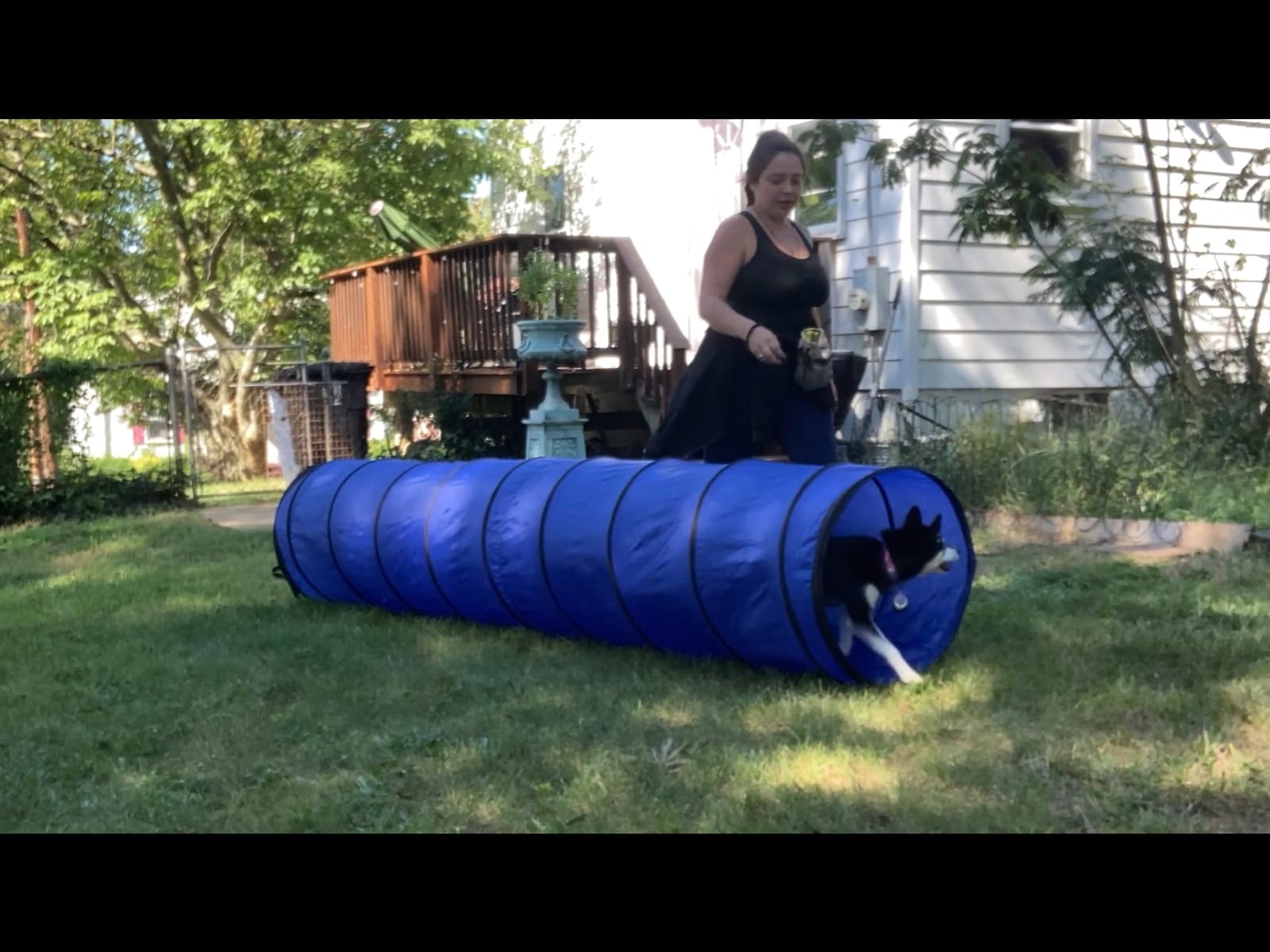 Better Sporting Dogs Agility Course Backyard Set - 7pc | Indoor and Outdoor, 3 Jumps, 2 Tunnels with Sandbags, Weave Poles, Dog Agility Training Equipment customer photo 2
