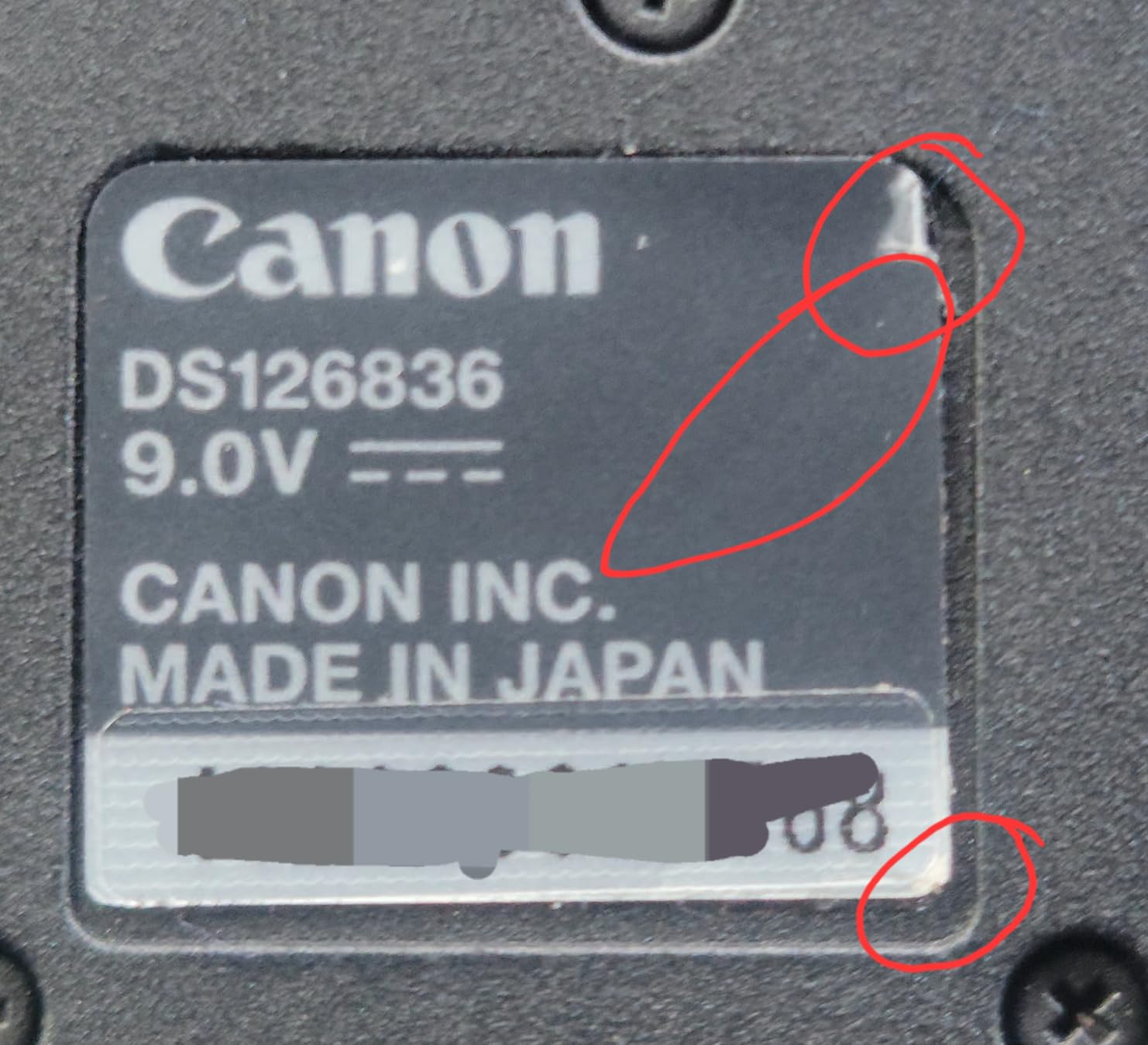 Canon EOS R5 Mirrorless Camera (Body Only), Full-Frame Hybrid Camera customer photo 2