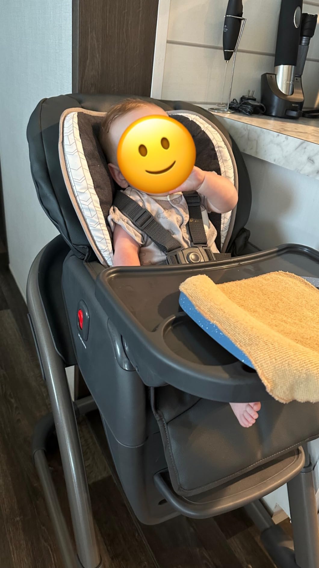 Graco Blossom 6 in 1 Convertible High Chair, Redmond customer photo 2