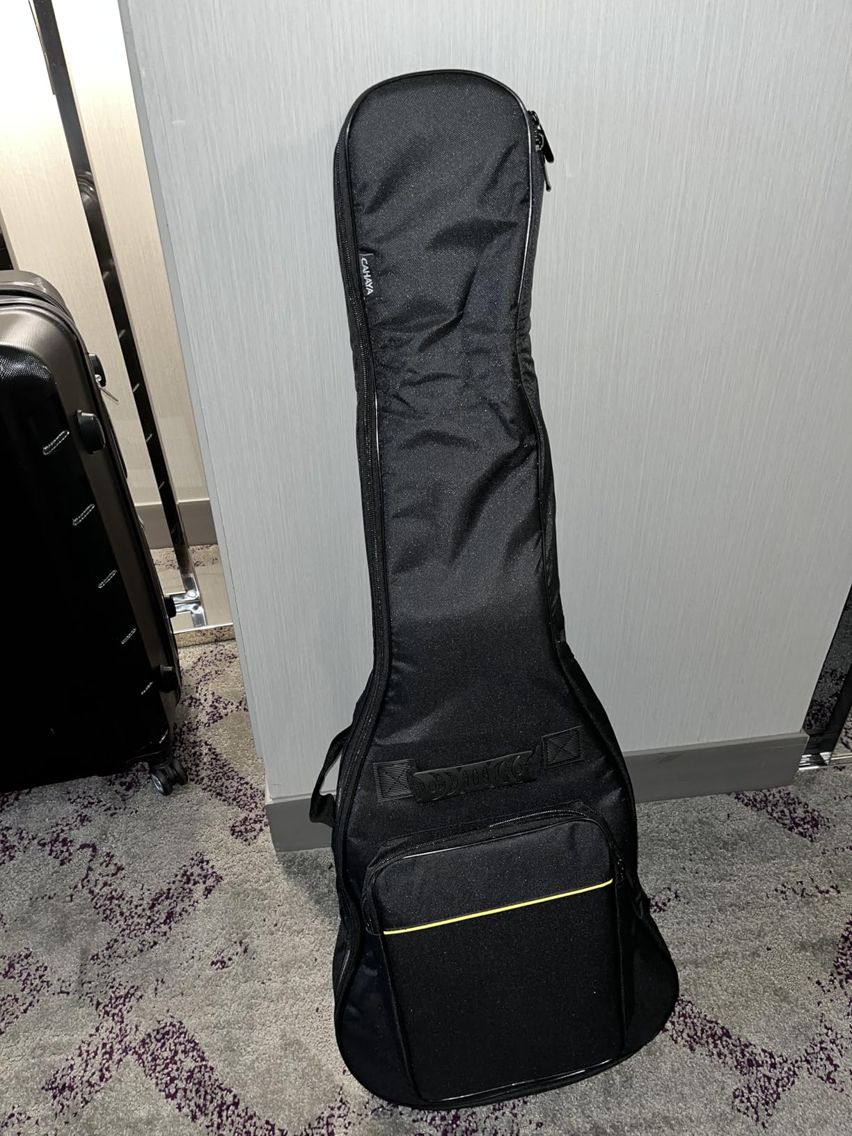CAHAYA Electric Guitar Case 0.35in Padded Soft Gig Bag Backpack Waterproof customer photo 2