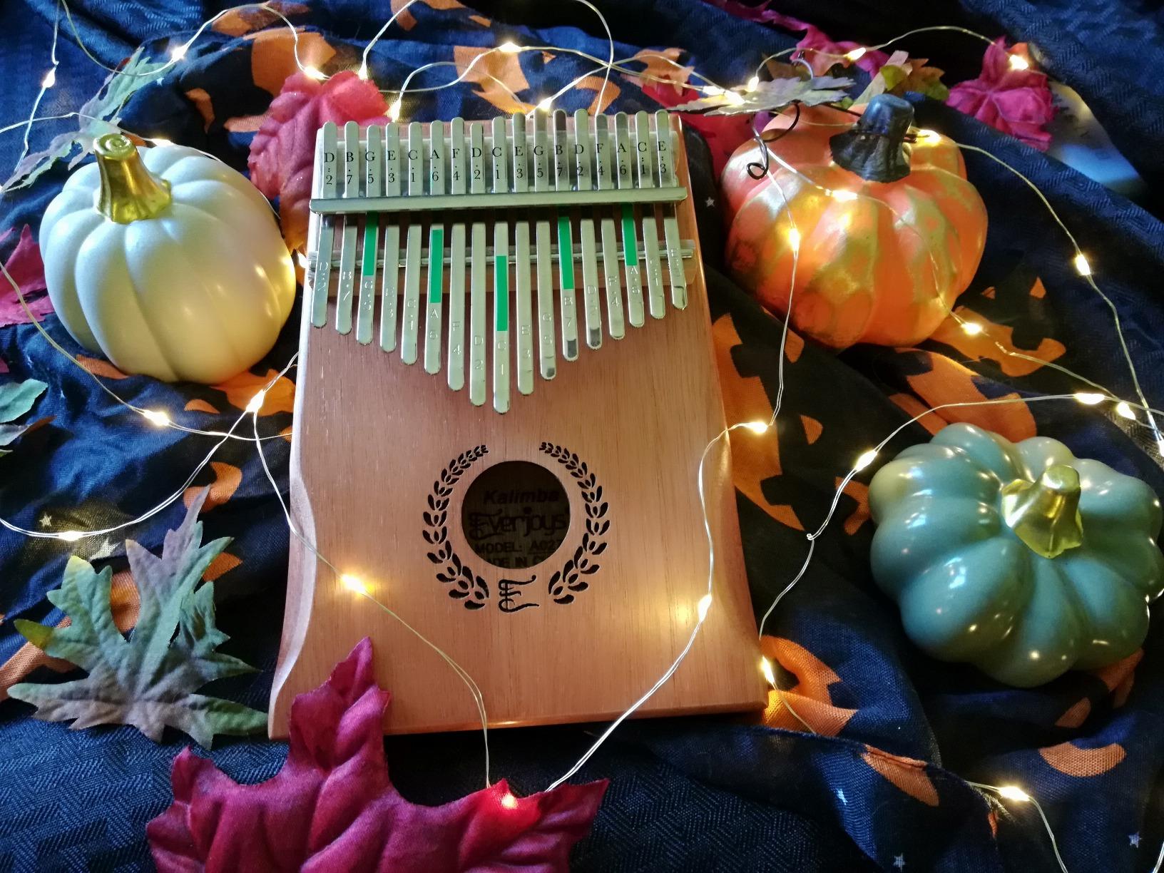 Everjoys 17 Keys Kalimba Thumb Piano, Professional Musical Instrument Finger Piano Marimbas with Portable Soft Cloth Bag, Fast to Learn Songbook, Tuning Hammer, All in One Kit customer photo 1
