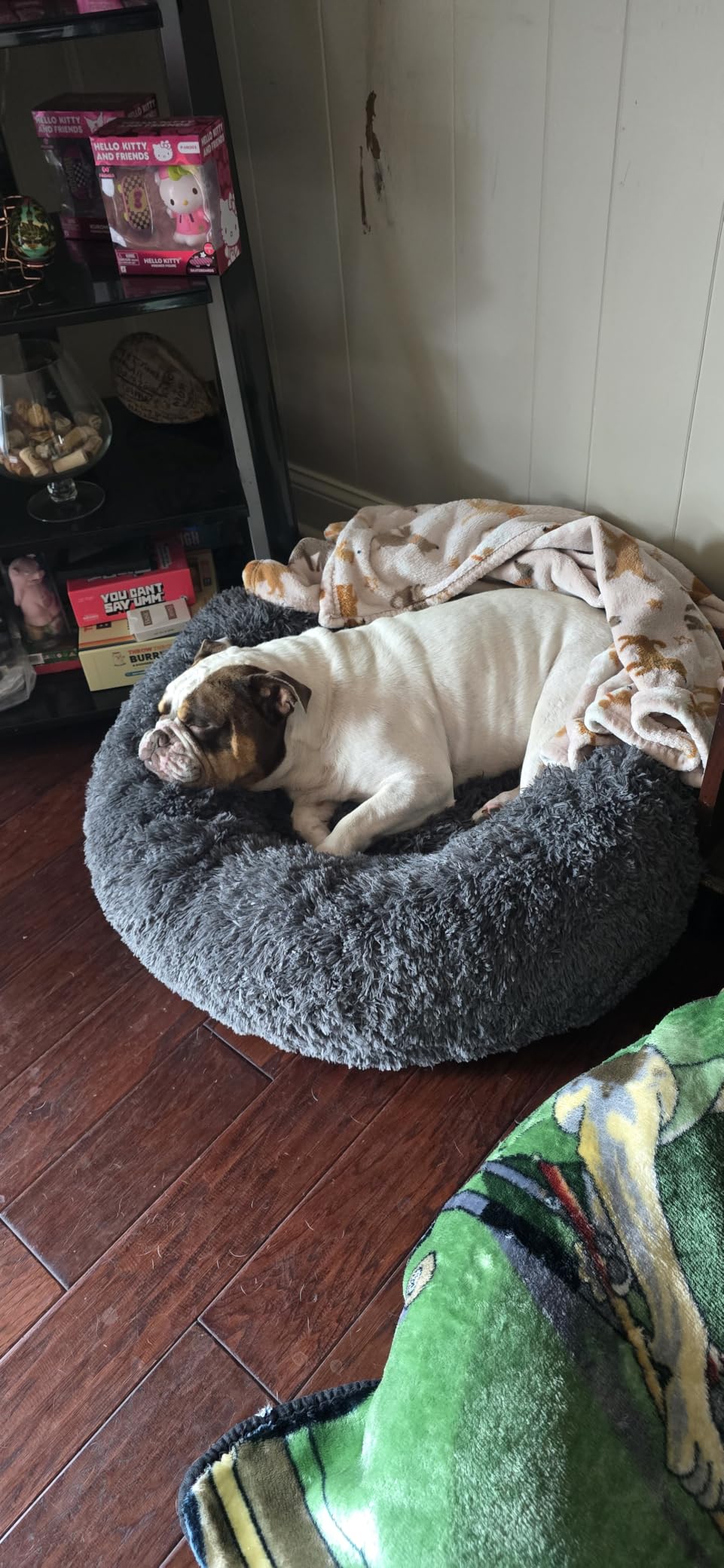 Bedsure Calming Dog Bed Medium Size Dog Donut Washable Pet Bed, 30ins Camel | Oprah Daily Sleep Award, Fluffy Faux Fur Round Cuddler, Anti-Slip Bottom, Anti-Anxiety, Deep Sleep for Pets Up to 45 Lbs customer photo 1