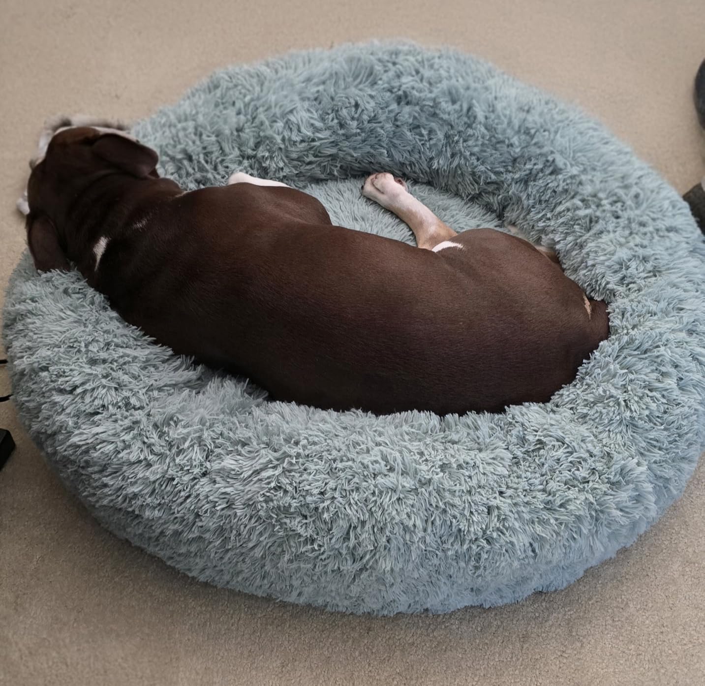 Bedsure Calming Dog Bed Medium Size Dog Donut Washable Pet Bed, 30ins Camel | Oprah Daily Sleep Award, Fluffy Faux Fur Round Cuddler, Anti-Slip Bottom, Anti-Anxiety, Deep Sleep for Pets Up to 45 Lbs customer photo 2