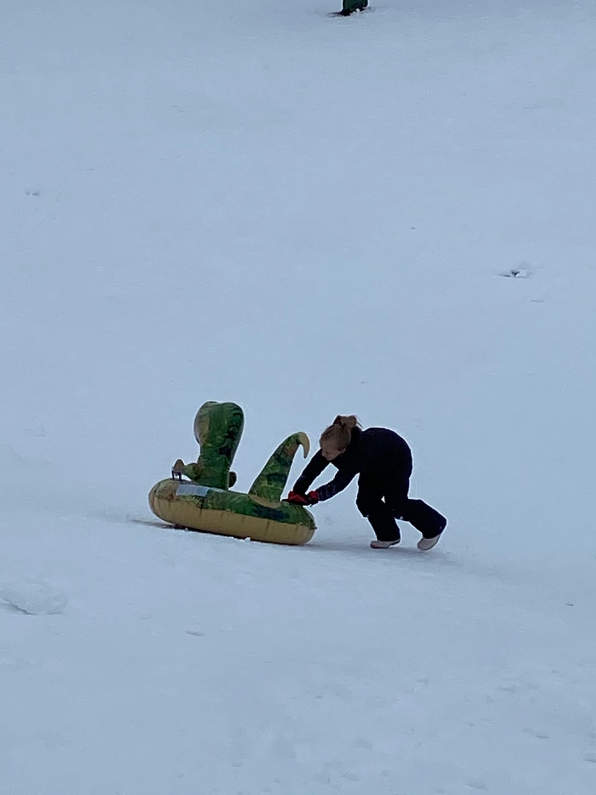Dinosaur Snow Tube, FindUWill 64.9 inch Large Inflatable Snow Sled with Handles, Heavy Duty Snow Tubes Sledding for Kids and Adults (Reinforced Double-Layers Bottom) customer photo 2