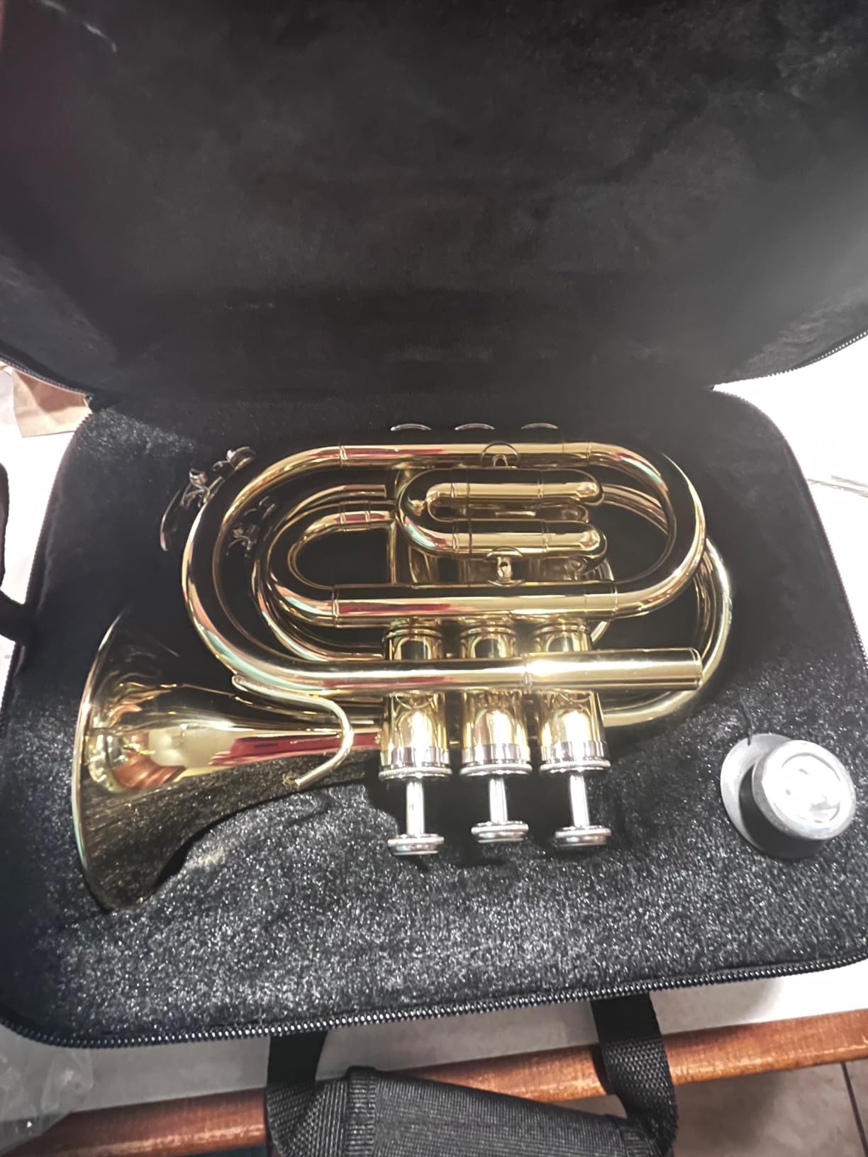 Ashthorpe Bb Brass Pocket Trumpet with Gold Lacquer Finish - Includes Case, Mouthpiece, Gloves, Cleaning Cloth, Valve Oil customer photo 1