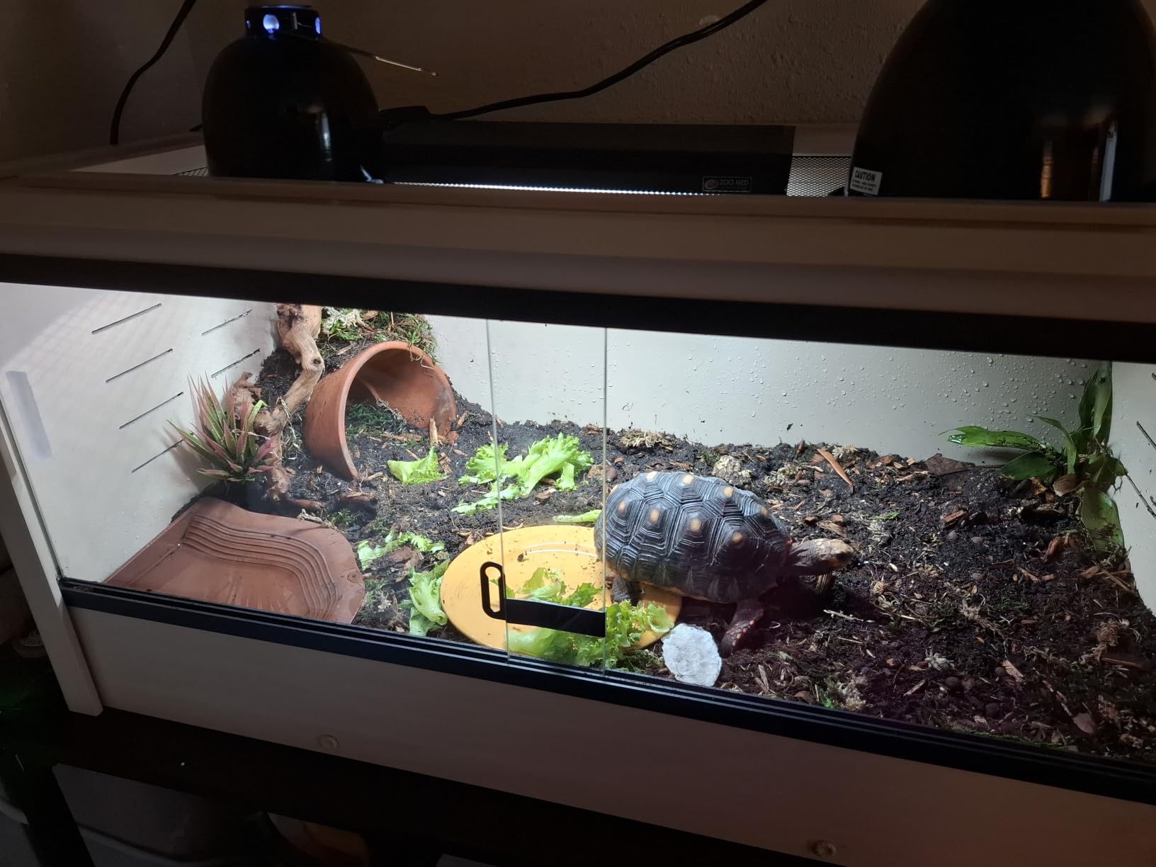 New Age Pet ECOFLEX Small 24