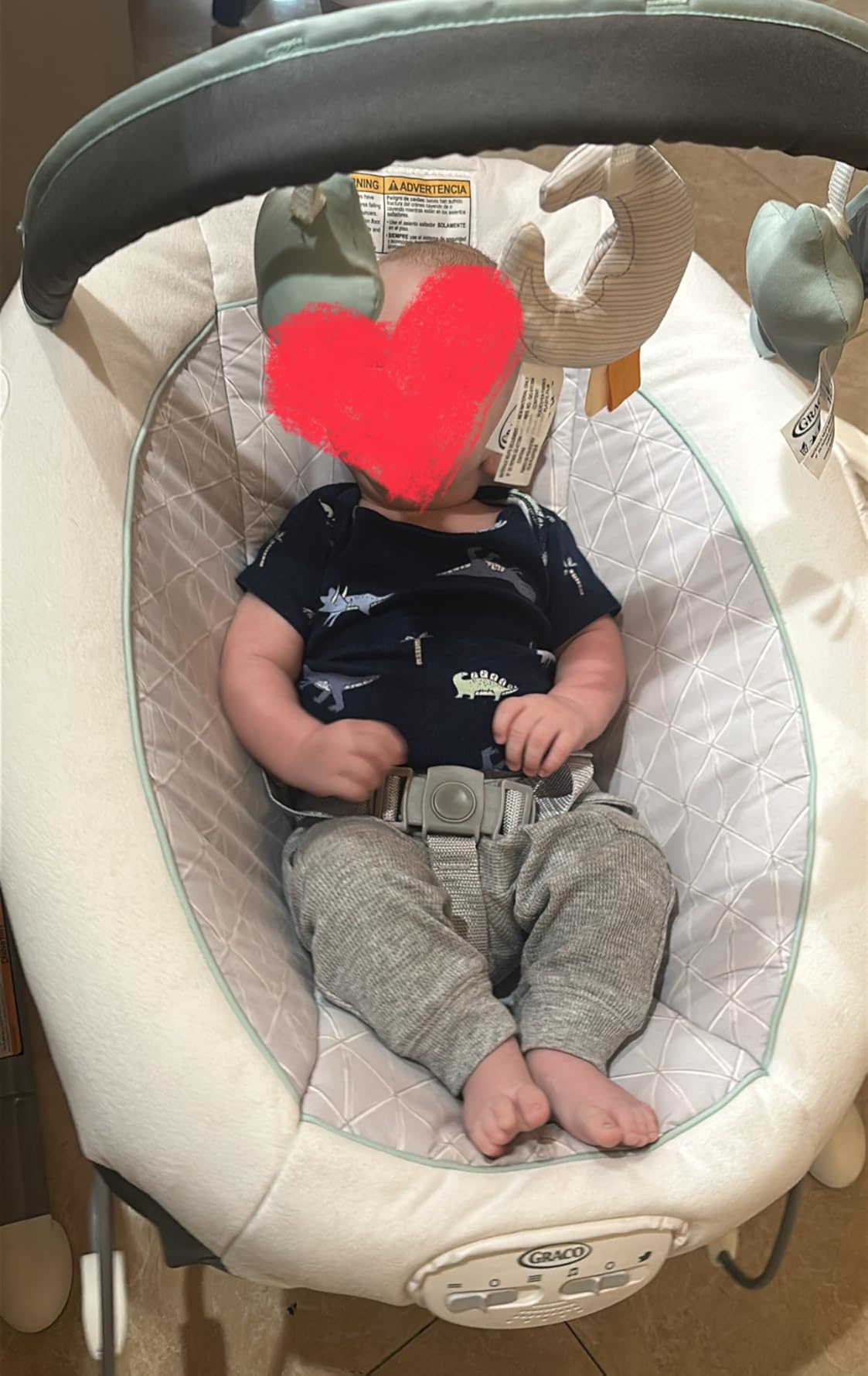 Graco Soothe 'n Sway LX Portable Baby Swing and Baby Bouncer Bouncer, Multi Direction Seat, 2 Speed Vibration, Derby customer photo 1