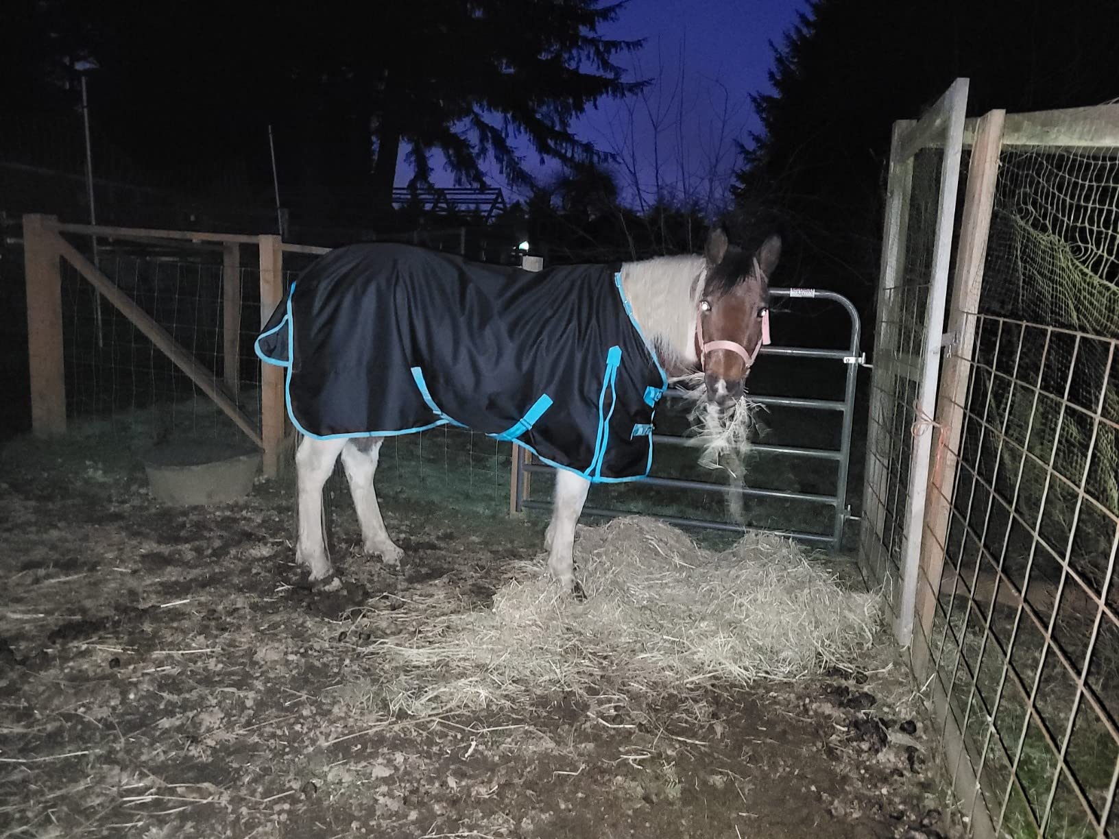 1200 Denier Horse RAIN Sheet (Waterproof/Breathable & Wind Proof Turnout Sheet) Horse Breathable RAINSHEET (Black-Turquoise, 78) customer photo 1