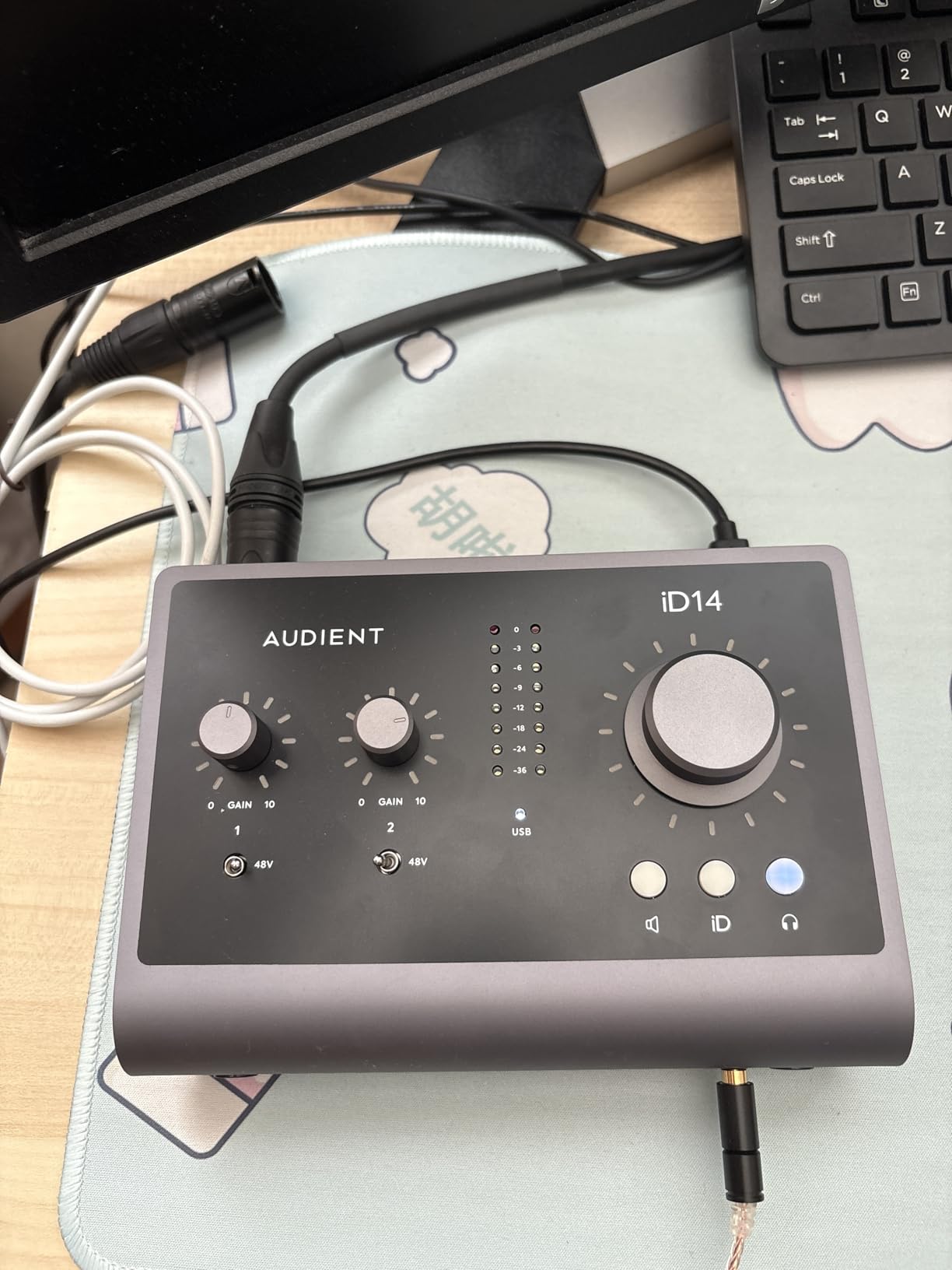 Audient Audio Interface iD14 MKII, 2 Class-A Microphone Preamps (High Performance USB Audio Interface, USB-C Connector, Monitor Mix and Monitor Panning Function, 2 Headphone Outputs), Black customer photo 1