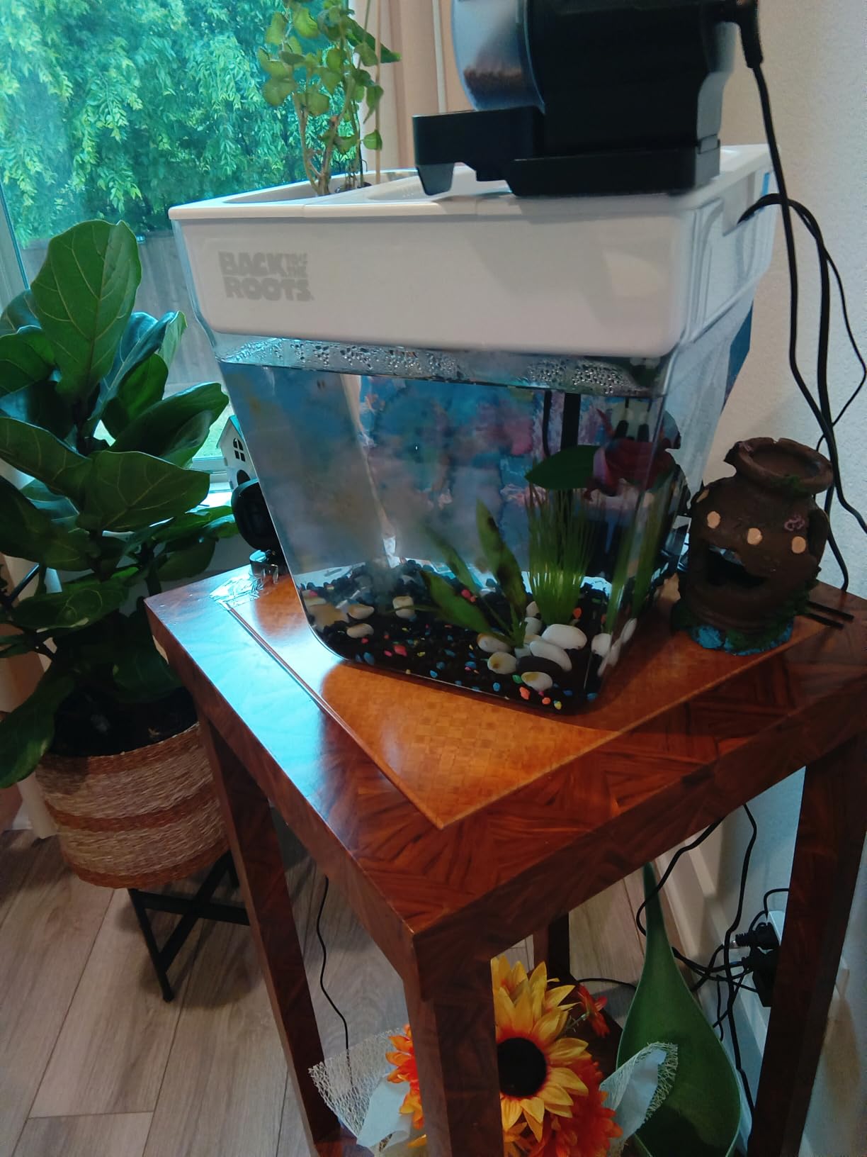 DXOPHIEX Automatic Fish Feeder Food Dispenser Vacation Fish Feeder | Powered by Battery and USB, For Aquarium and Turtle Tank customer photo 2
