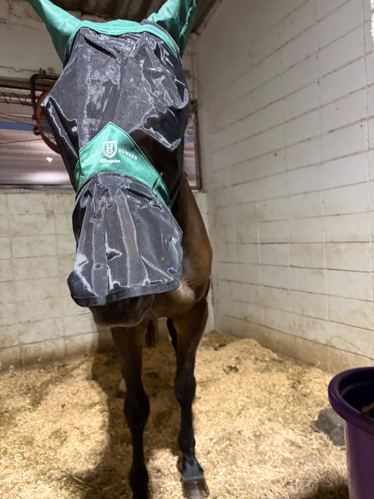 Harrison Howard CareMaster Pro Luminous Horse Fly Mask Large Eye Space Long Nose with Ears UV Protection for Horse Summer Mint Full Size customer photo 1