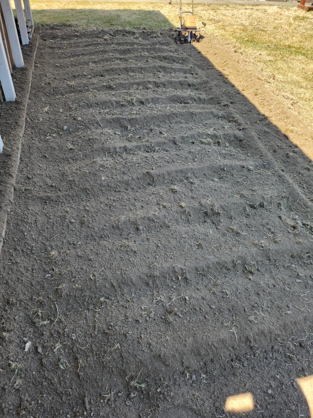 LawnMaster 13.5 Amp 18
