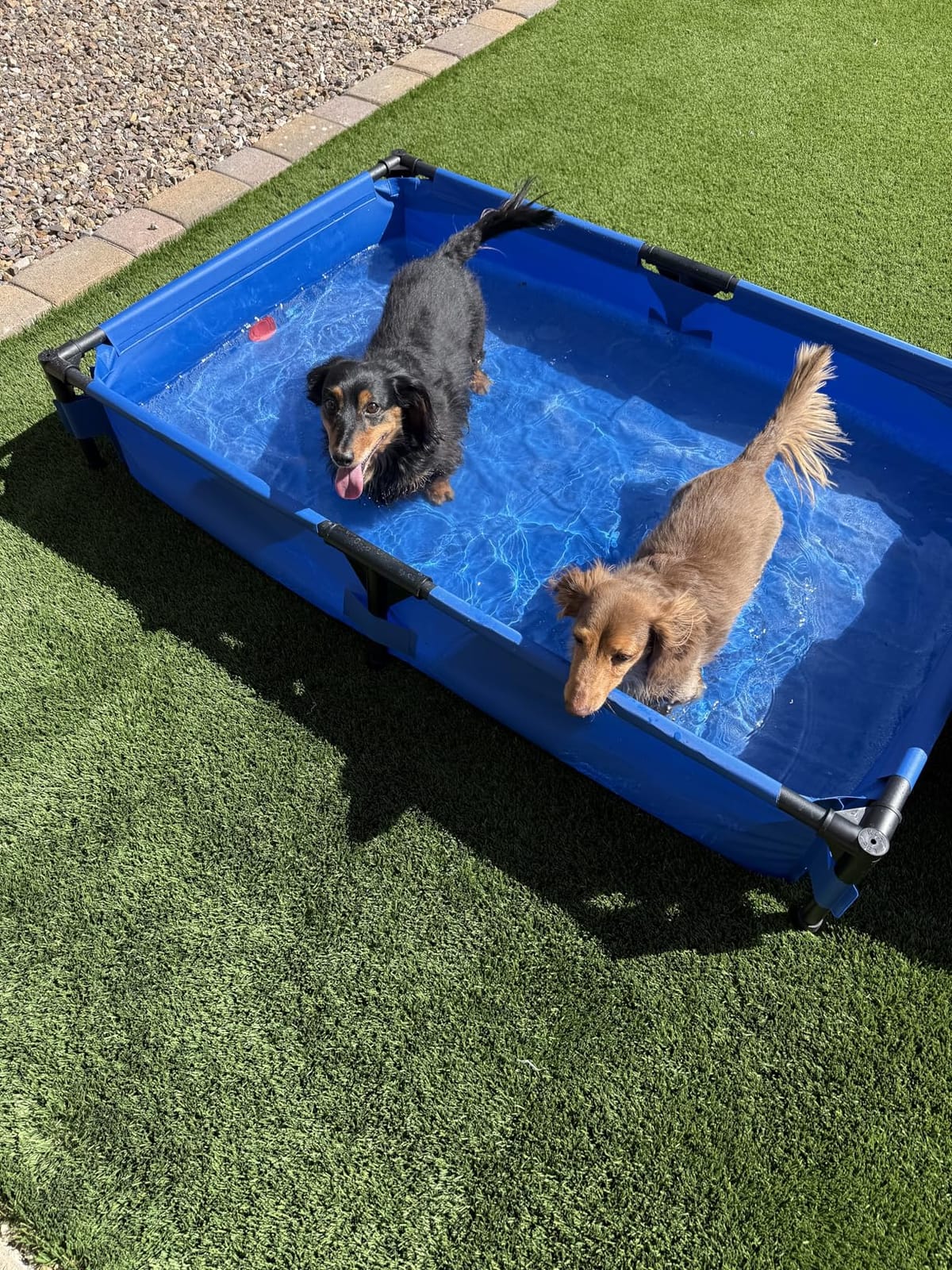 K&H Dog Pool, Portable Pet Bath, X-Large 50x32in, Chill Blue | Dog Pools for Large Dogs & Puppies, Splash Pad, Foldable Pool Design, Heavy Duty Liner with Metal Frame, Easy Drain Plug customer photo 2