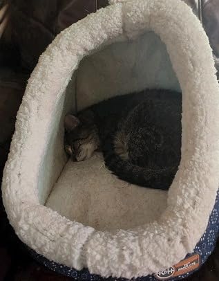 K&H Heated Cat Bed, Thermo-Pet Cave Indoor, Safety Listed, 4W, Gray, Removable Waterproof Cat Heating Pad, Heated Pet Bed for Dogs & Cats, Covered Cave Pet Tent, Collapsible, Machine Washable customer photo 1